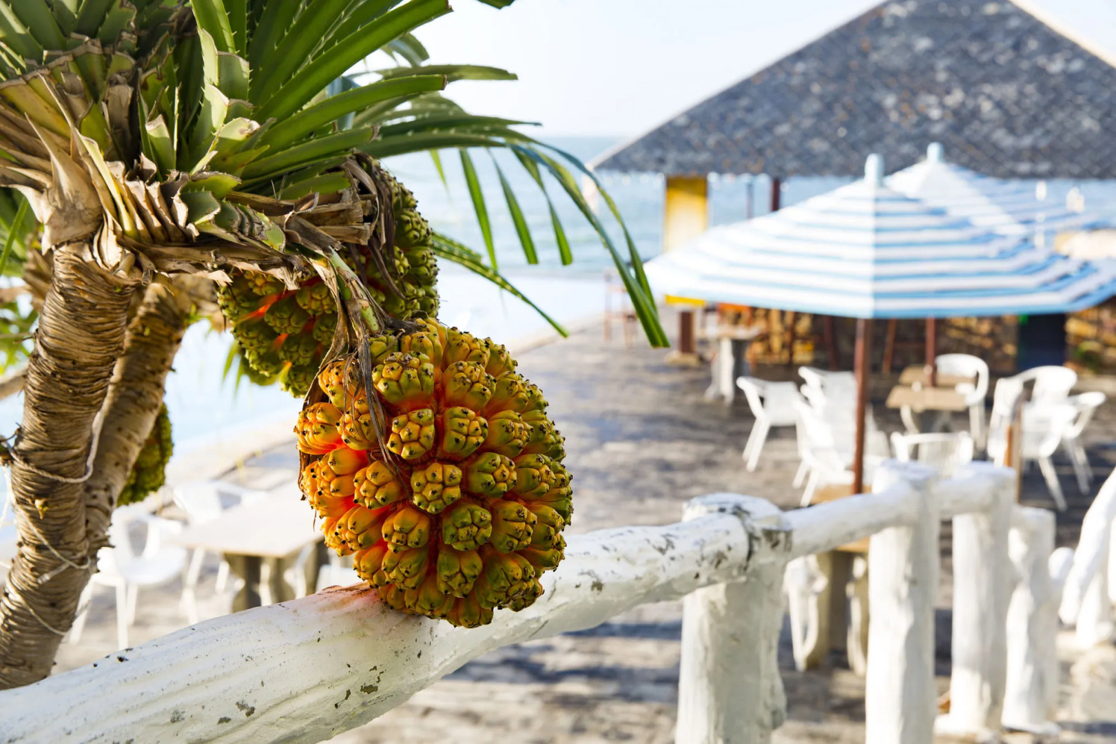 Rock Water Bay Beach Resort & Spa