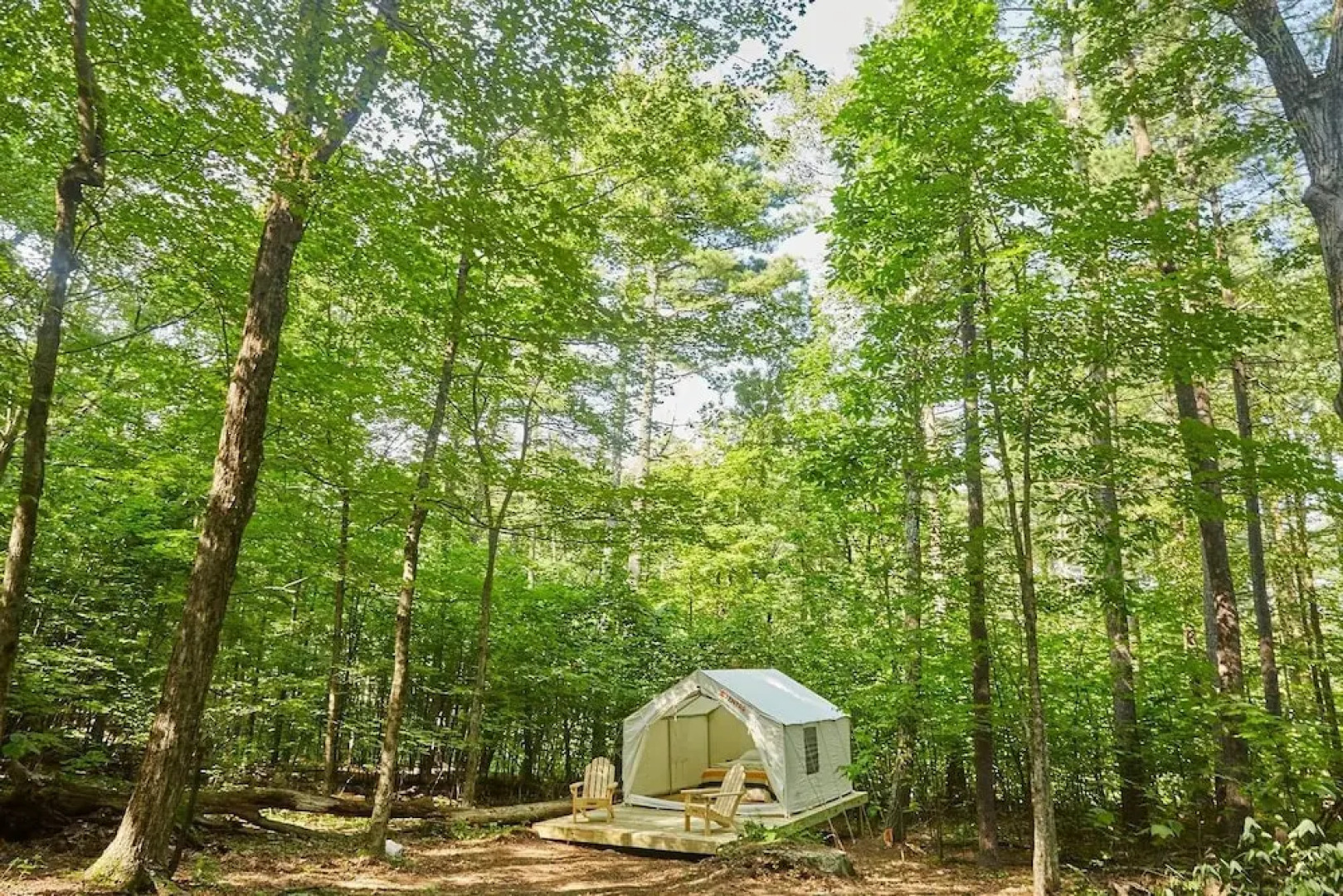 Tentrr - Abandoned Zoo Wooded Site