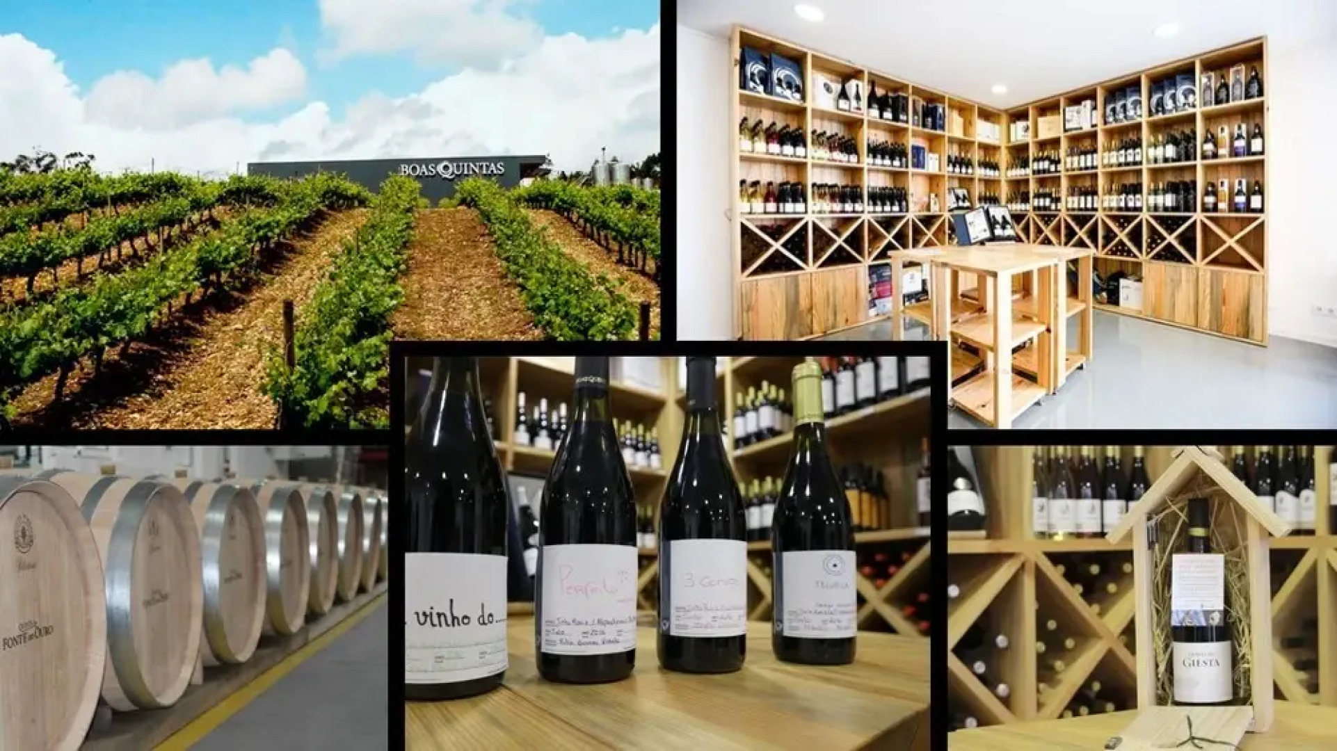 Casa de Santo António