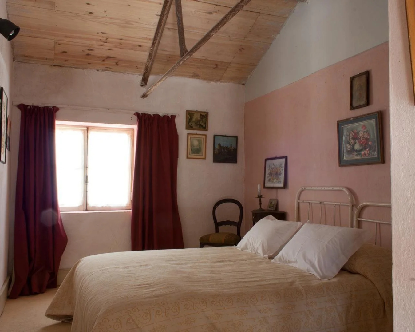 Uva do Monte - Blueberry Farm