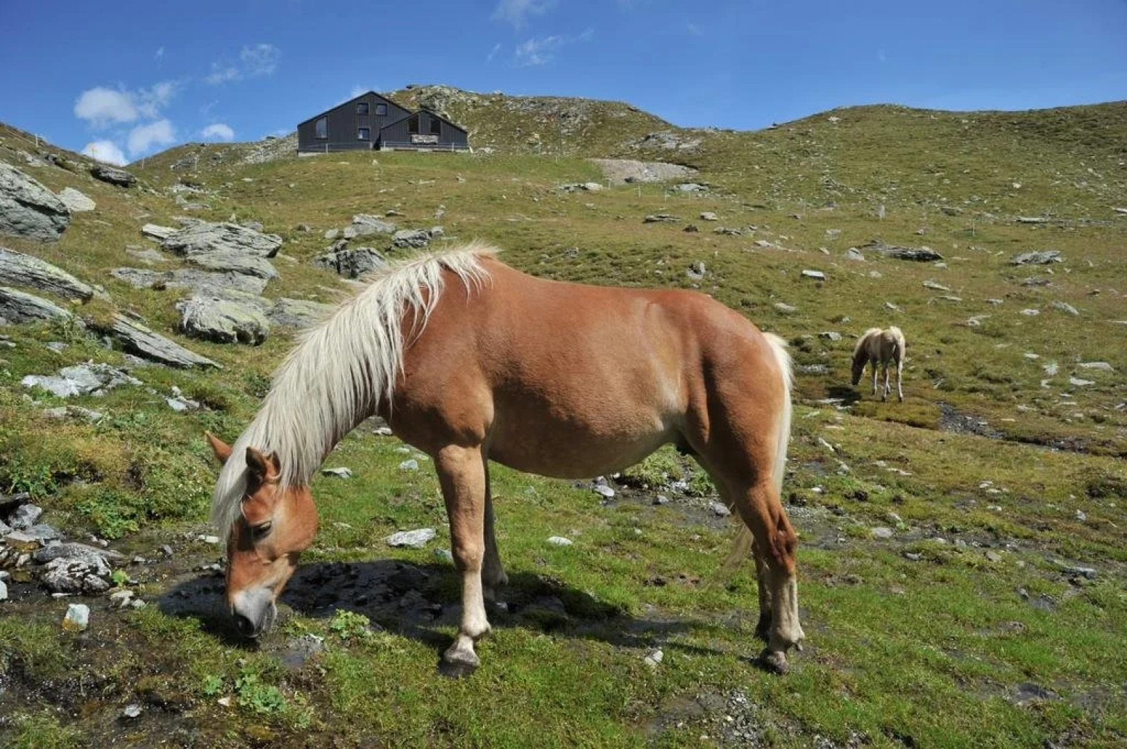 Rifugio Grand Tournalin