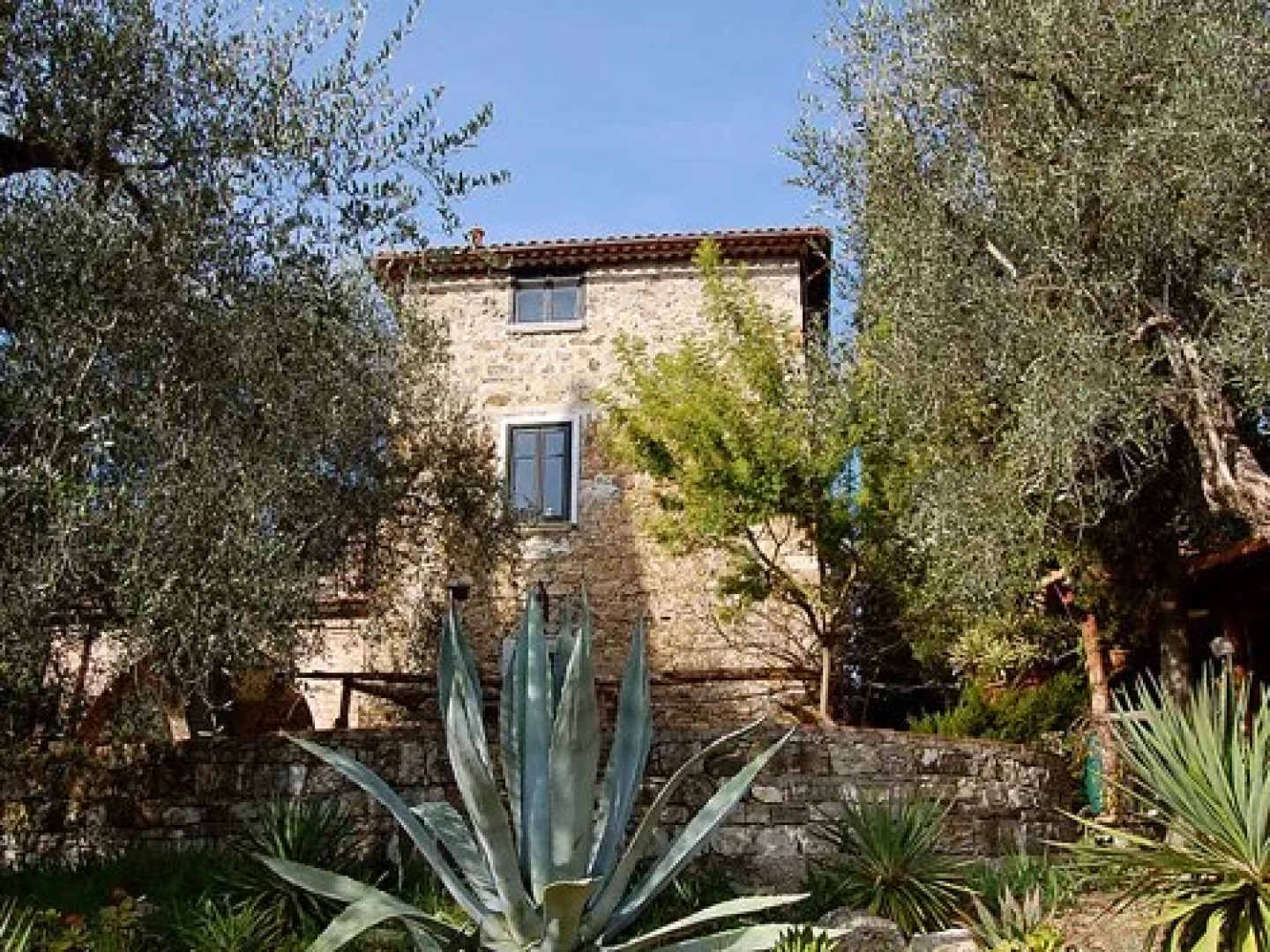 House Falcesca Buccino