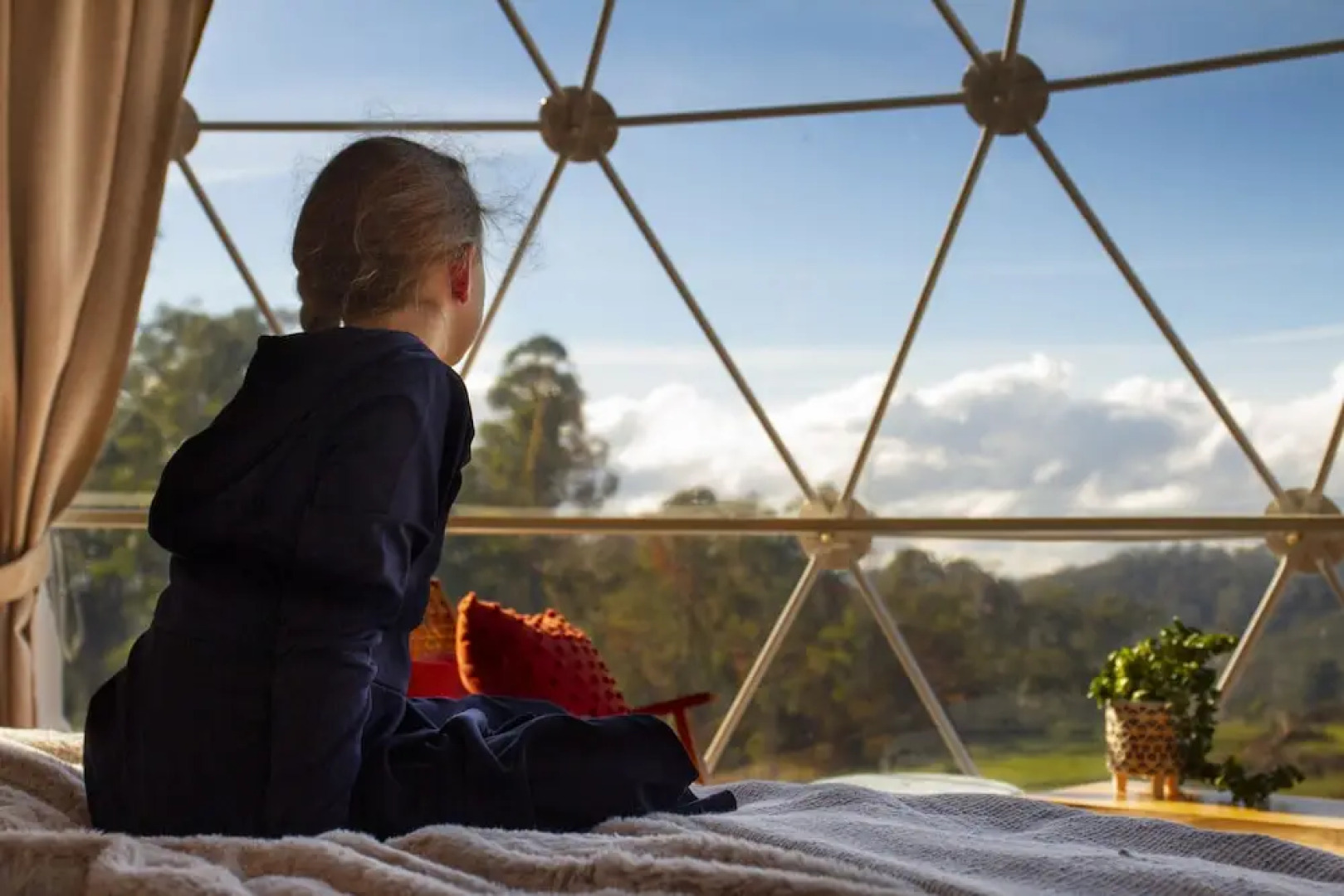 Domescapes in the Vines