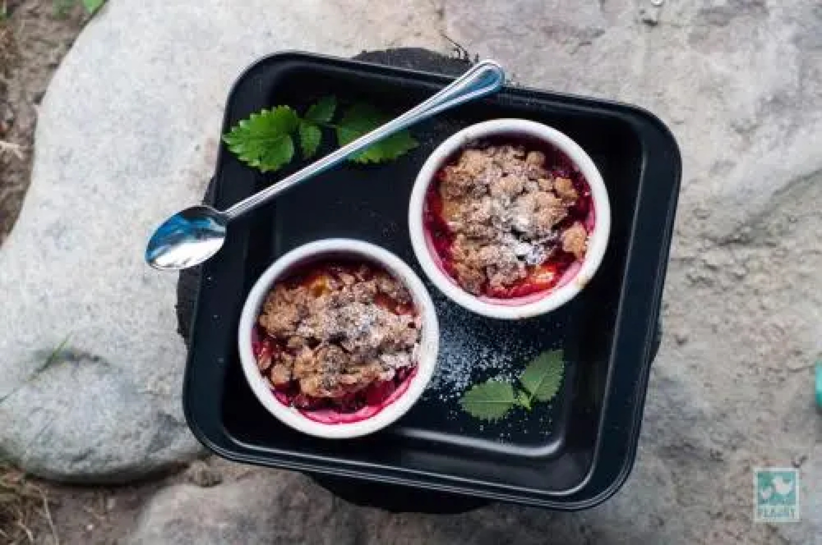 Plajny - Ogród Dobrych Myśli