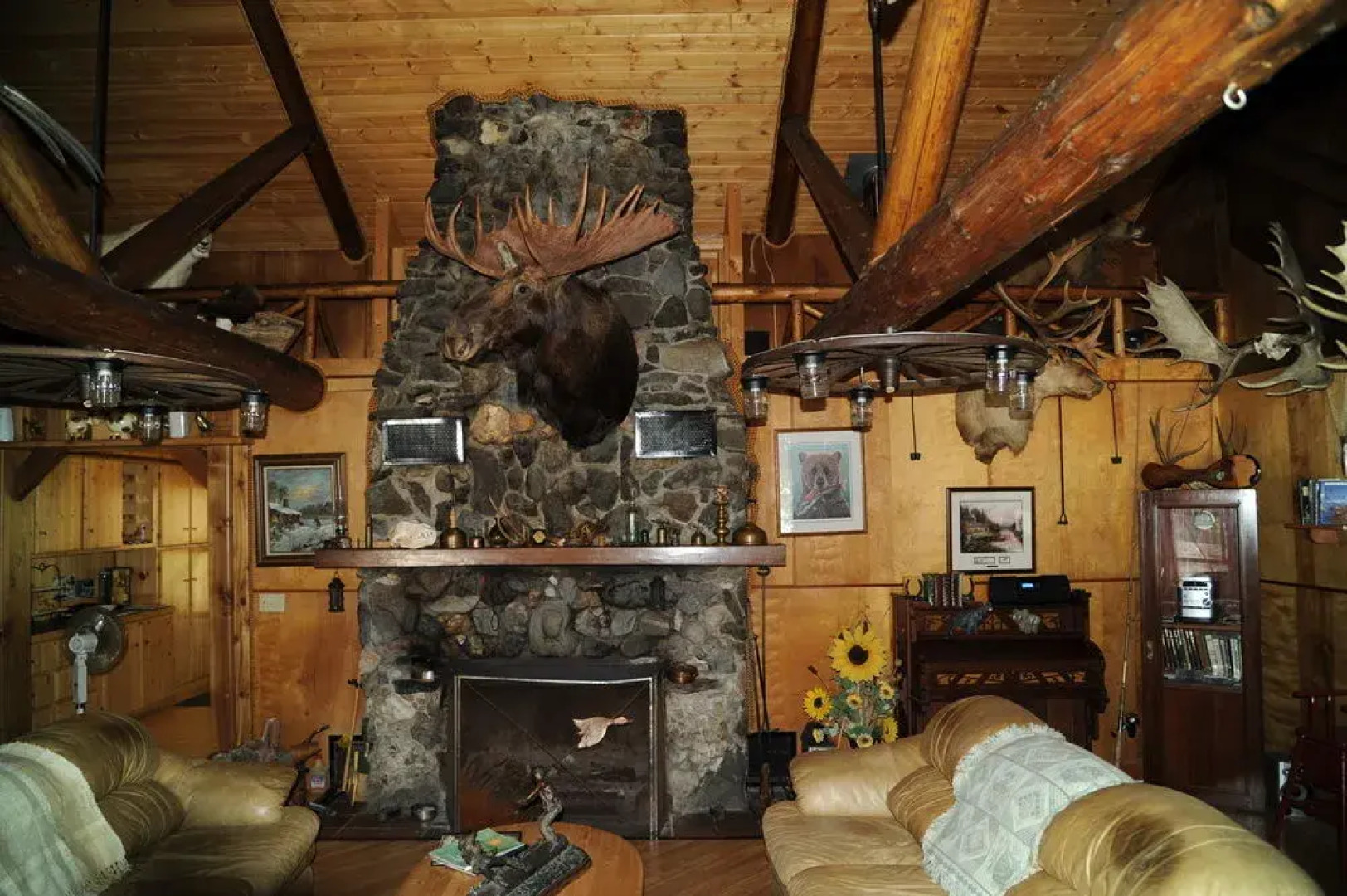 Northern Lights Lodge