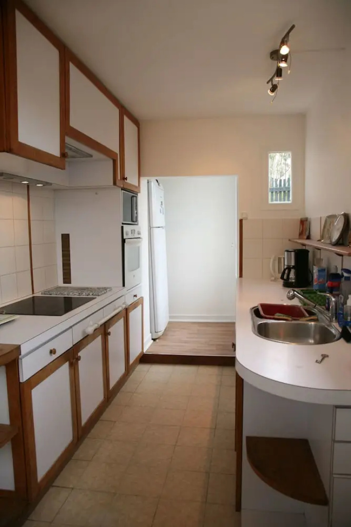 Les Camélias des Demoiselles de Pallus