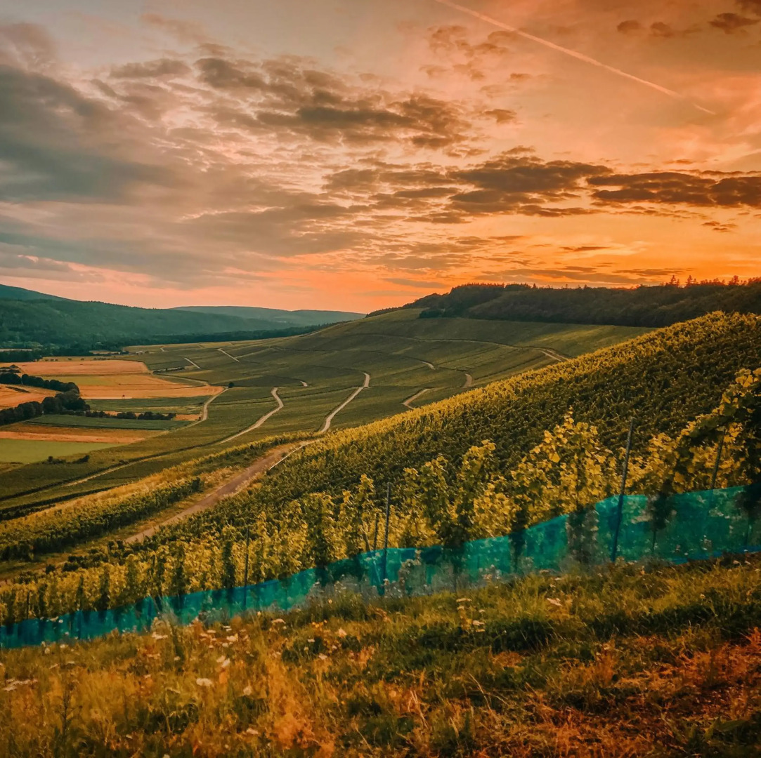 Ferienwohnung Moselmomente