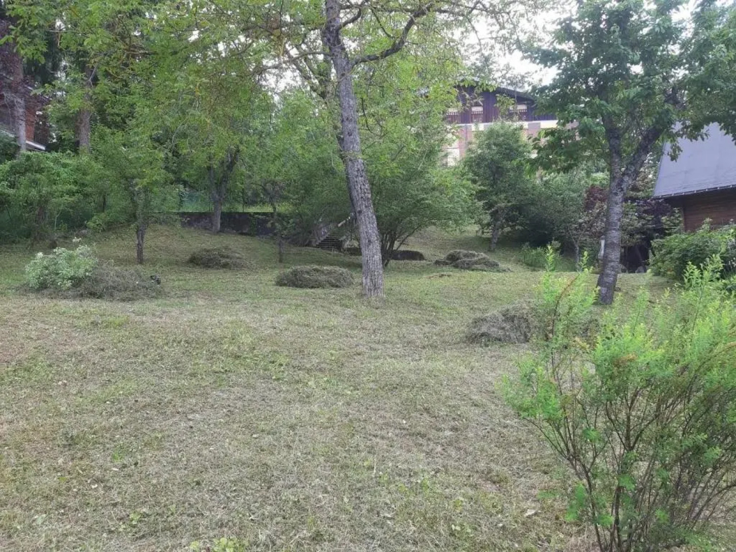 Uno chalet nel bosco