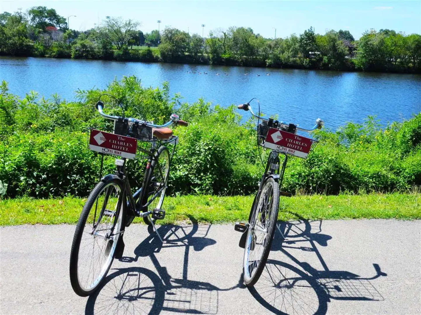 Harvard Square Hotel