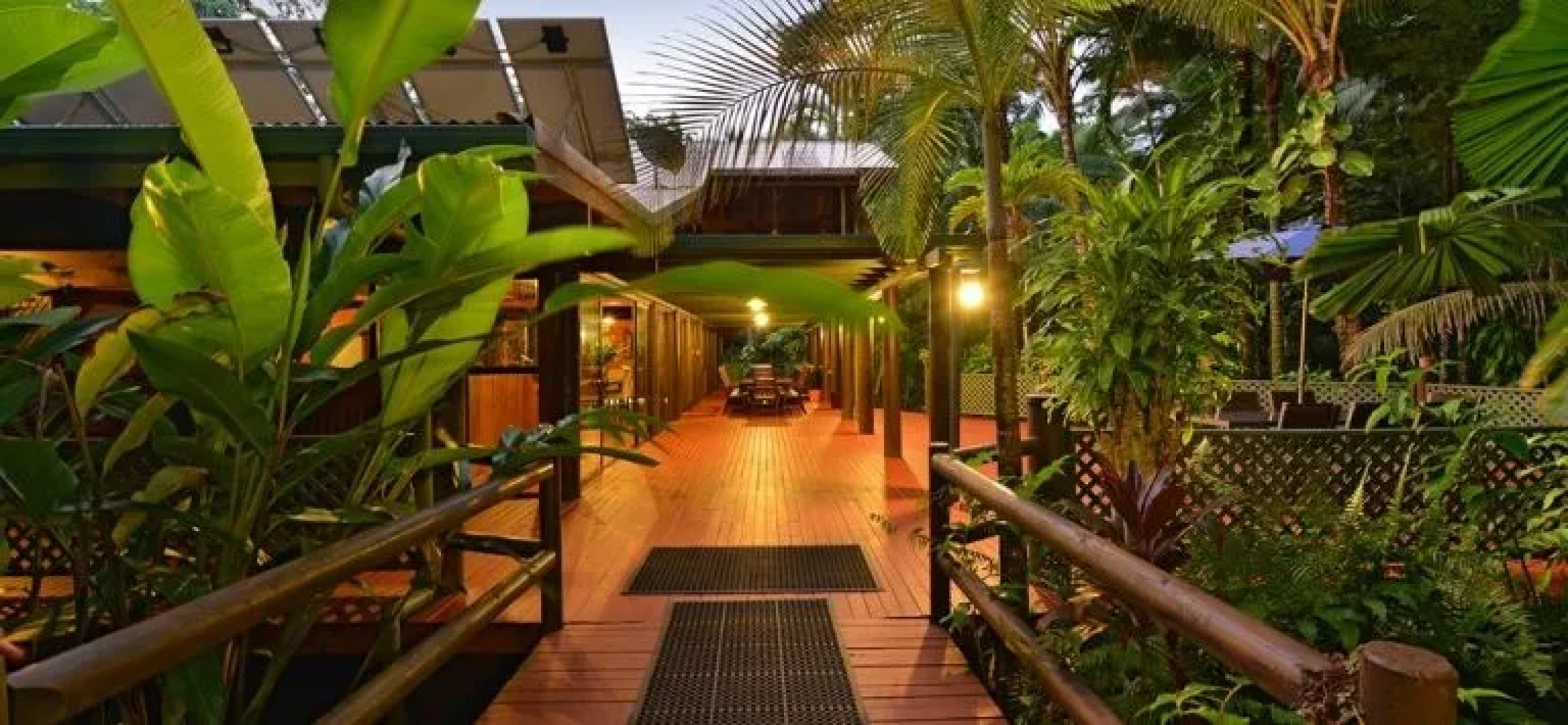 Wait A While Daintree