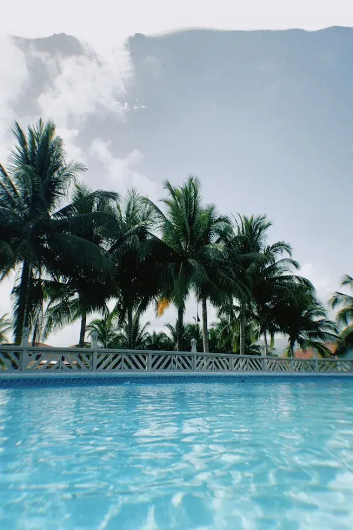 Palmazul - Viña del Mar