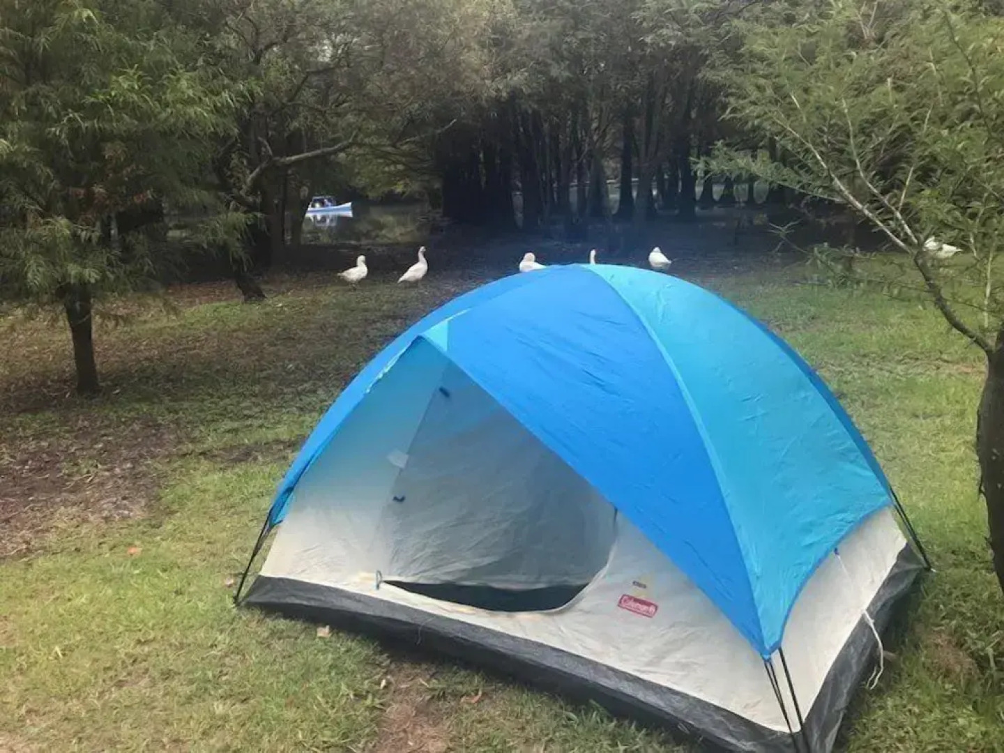 Anaya & Rodriguez Shop - Hostel