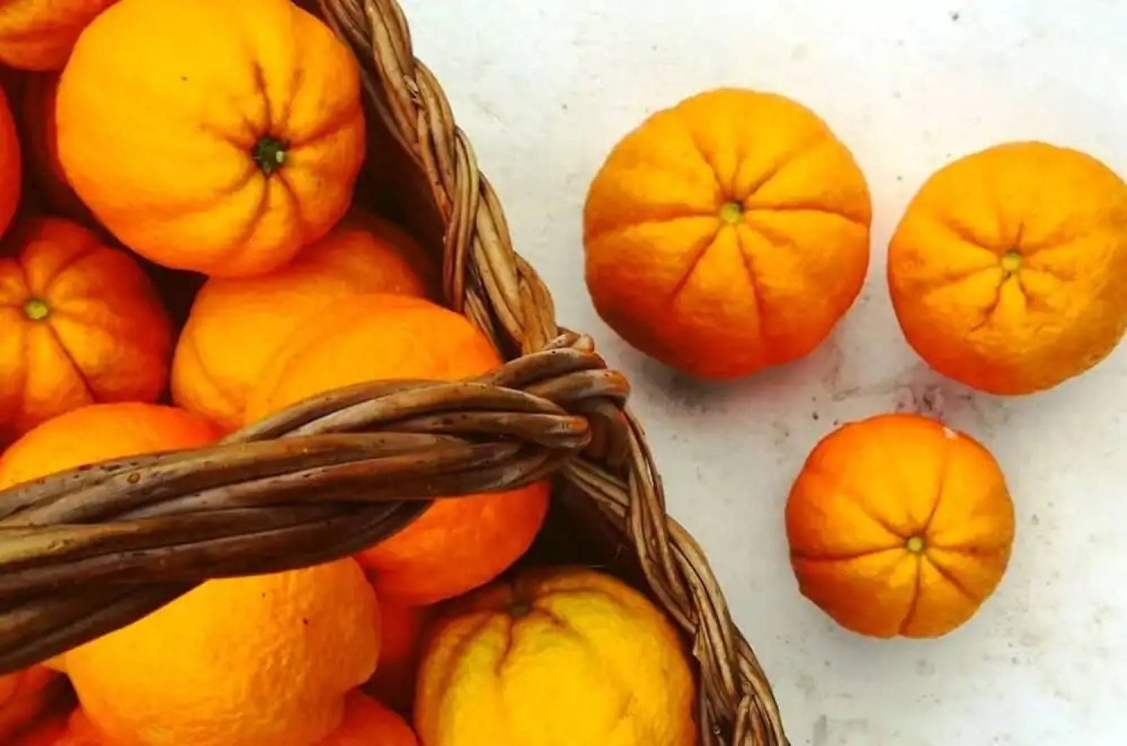 Casa do Fundo - Sustainable & Ecotourism