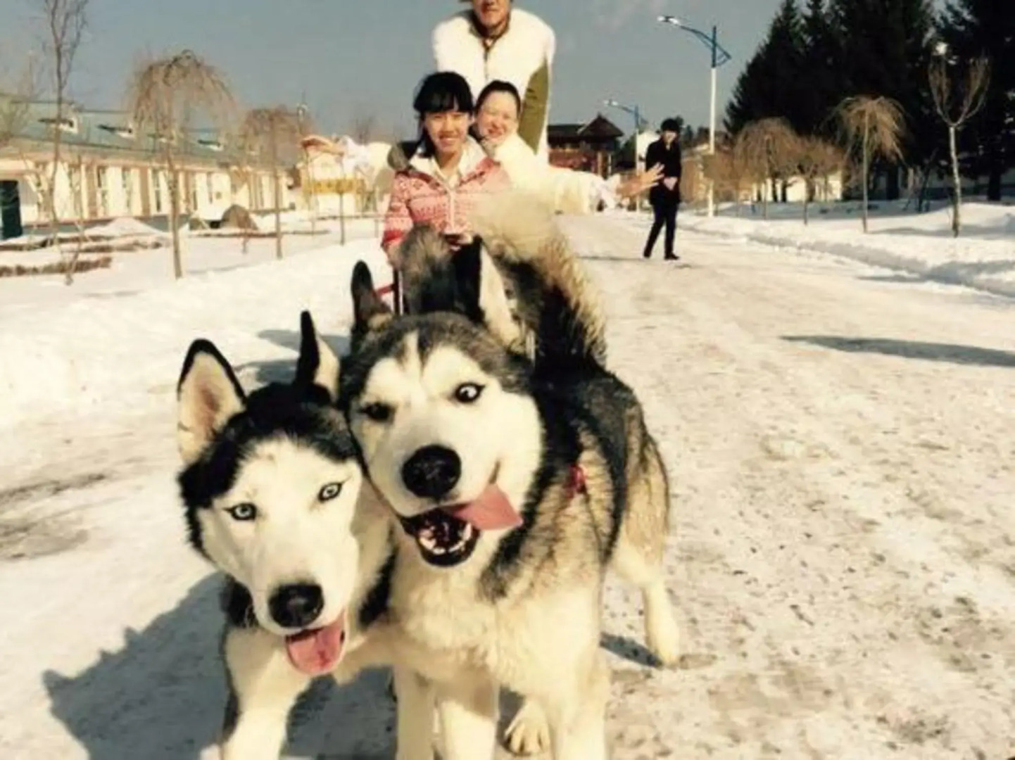 Changbai Dajun Hotel