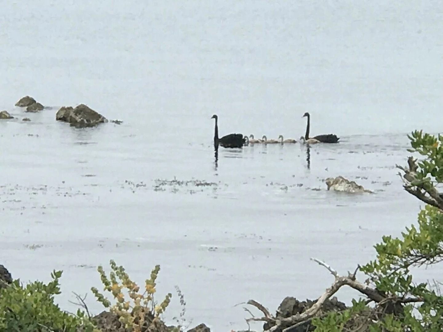 Wellington Beach Suite