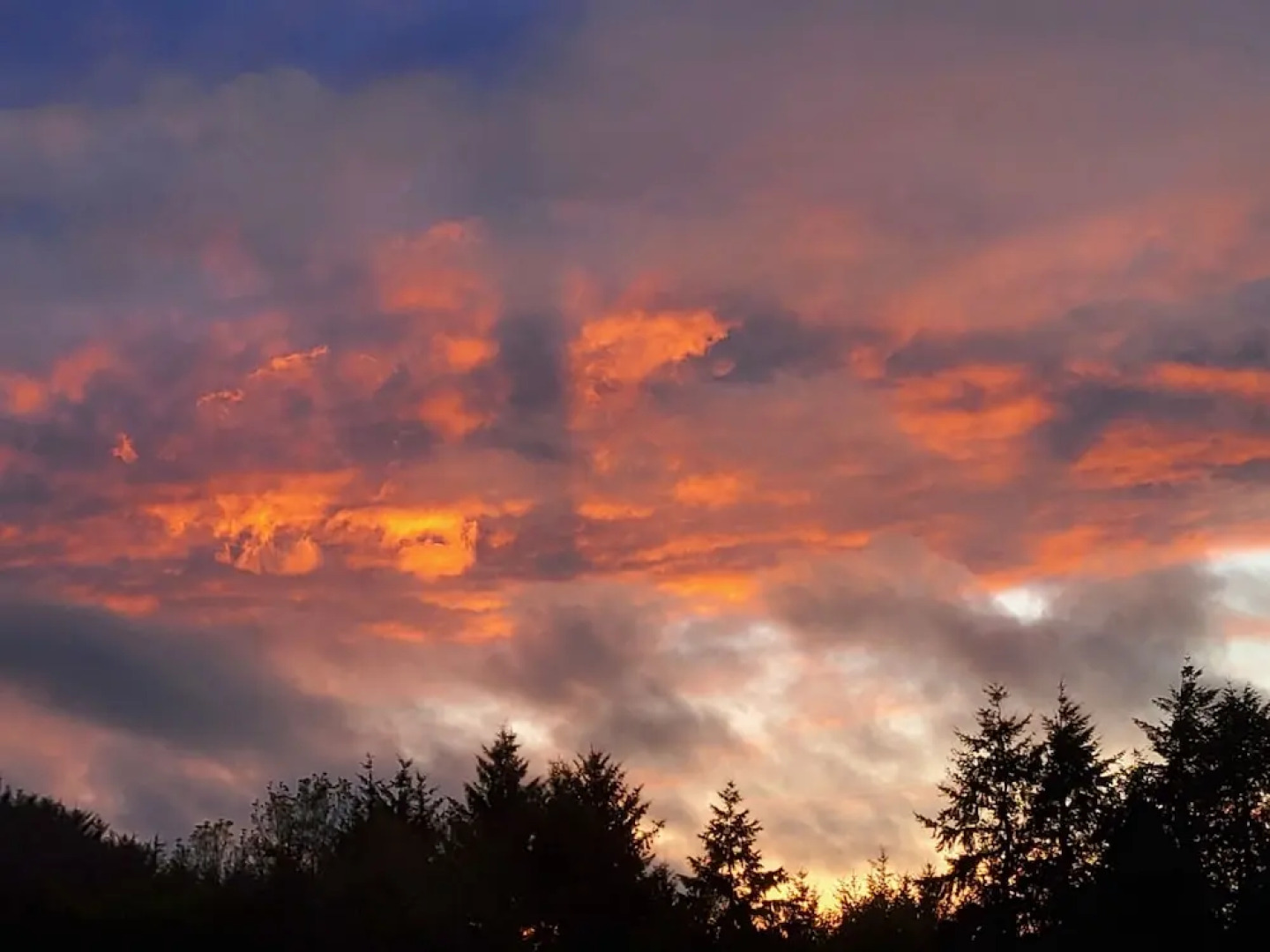 3 Bedroom Cottage - Hot Tub, Garden, Parking