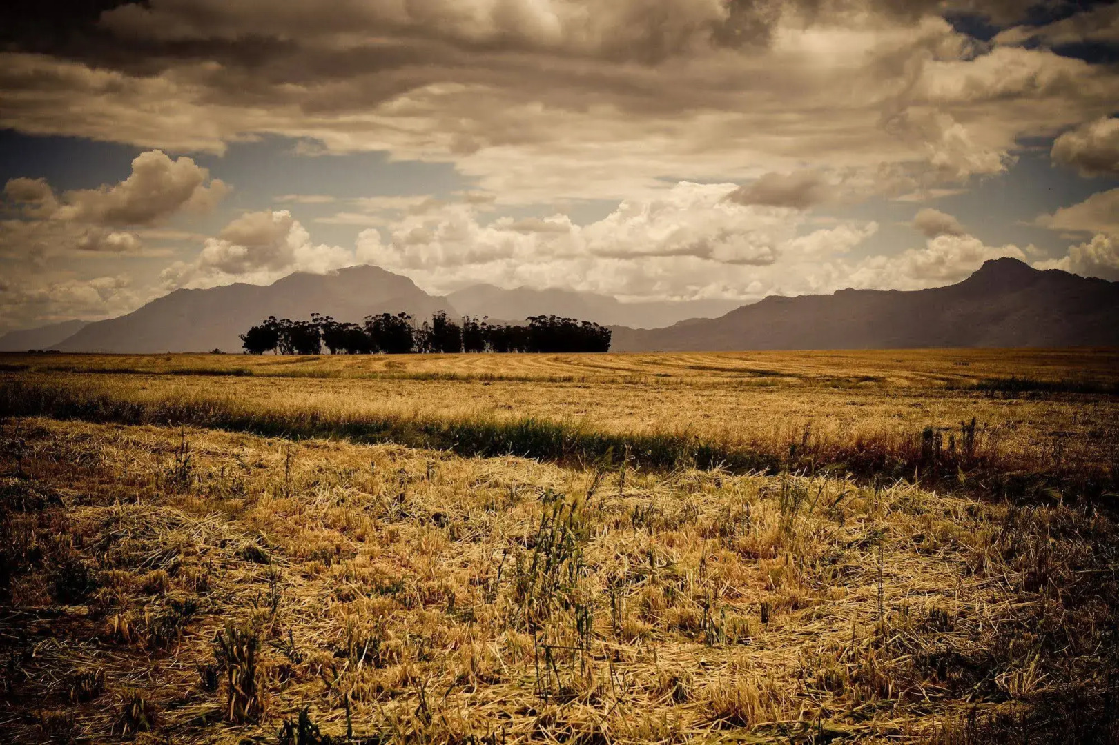 Bartholomeus Klip Farmhouse