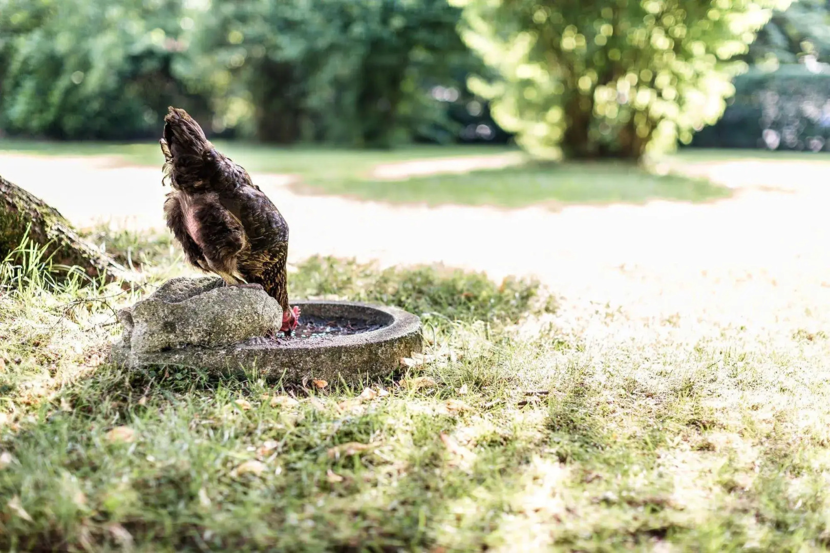 Salzburg Hotel Holznerwirt