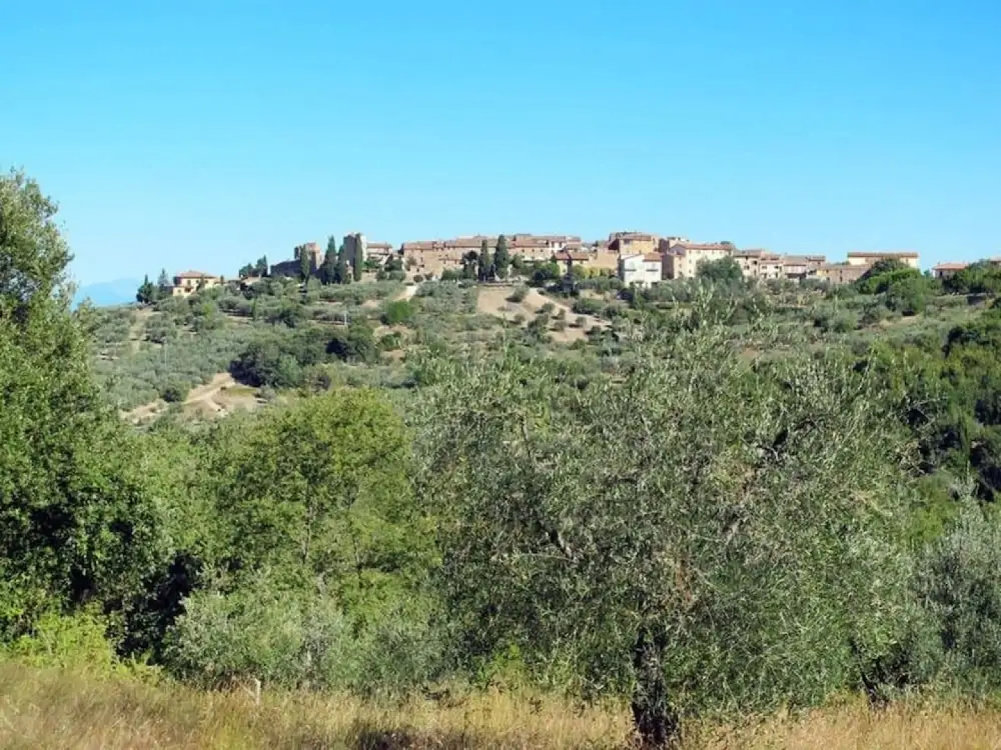 Antica Canonica San Leolino