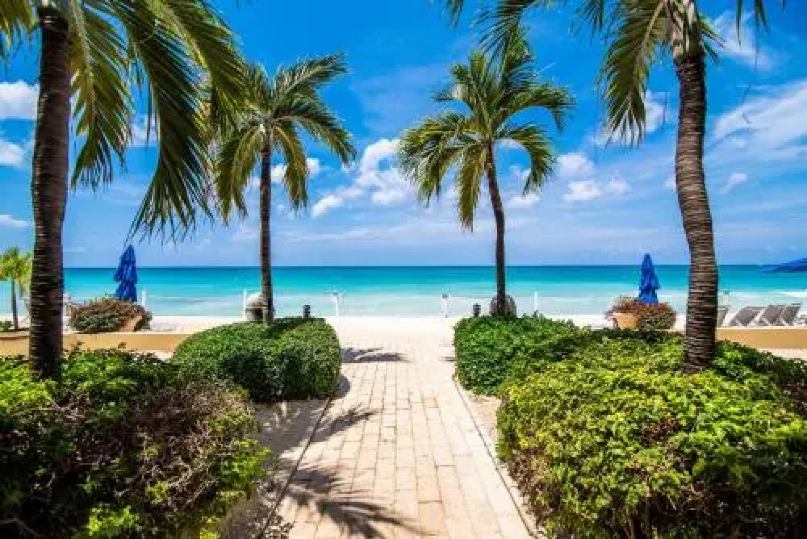 Laguna Del Mar 24 (Condo)