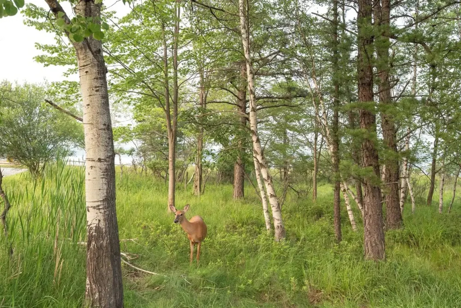 Community Beach Access: Modern Poconos Cabin!