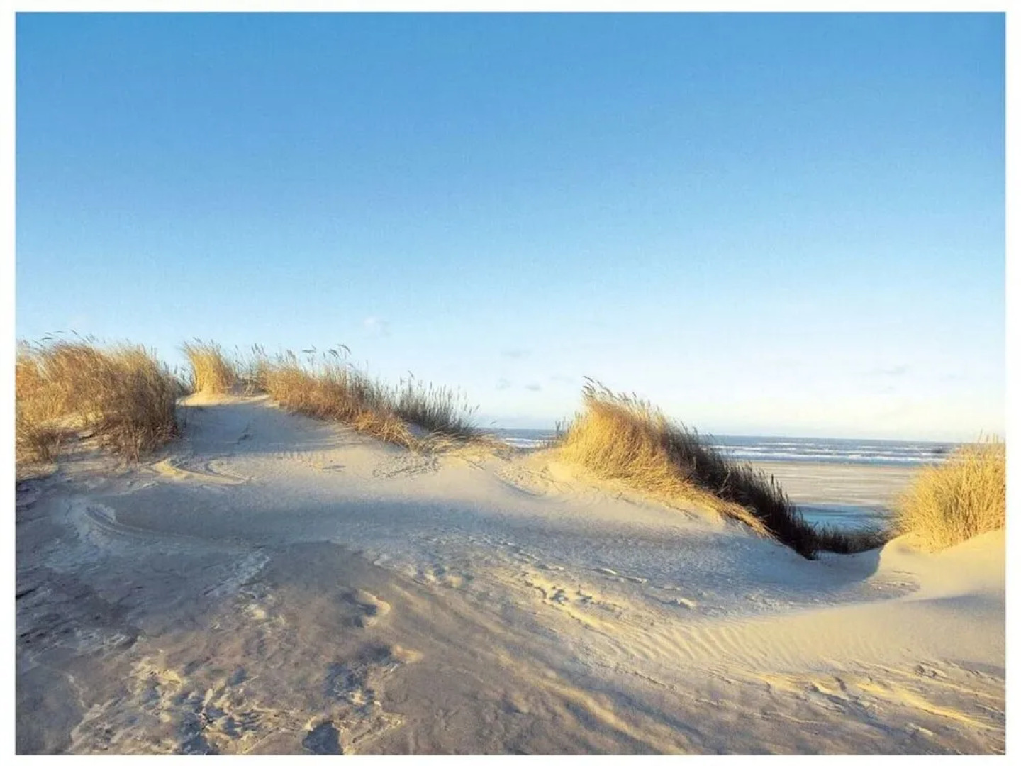 Reethuus Sud Modern Retreat