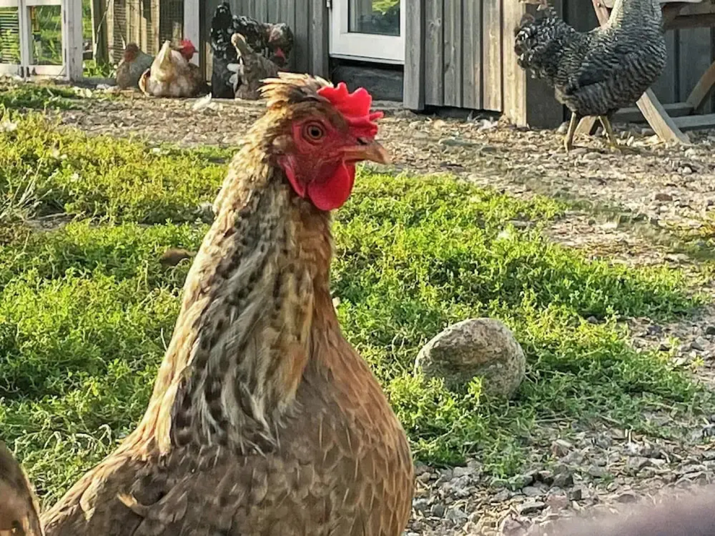 3 Person Holiday Home in Ockero