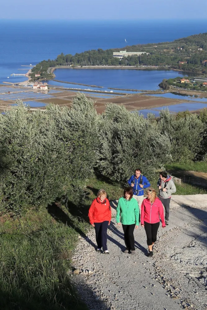 Terme Krka - Apartments Laguna