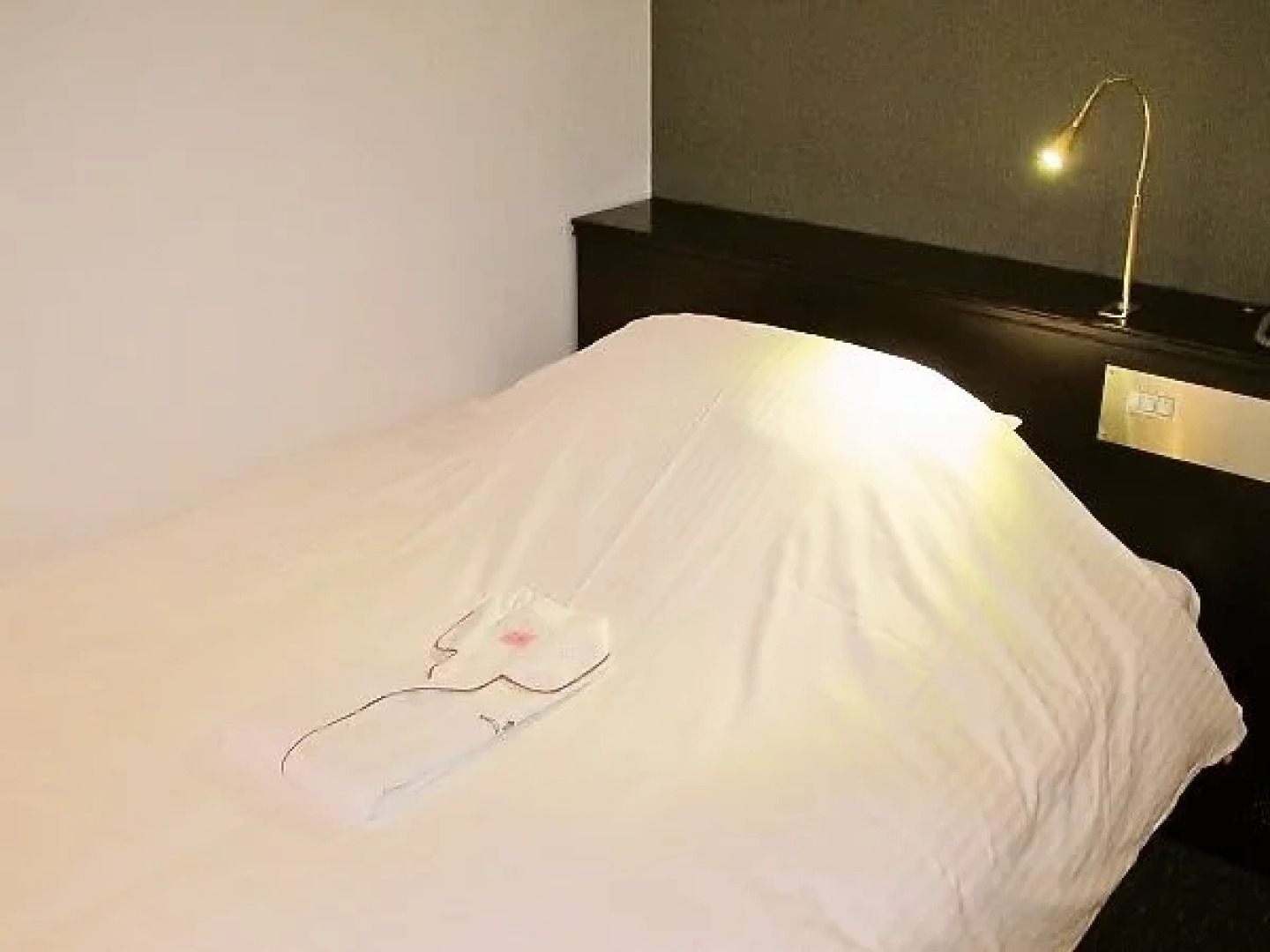 Tsuyama Kakuzan Hotel