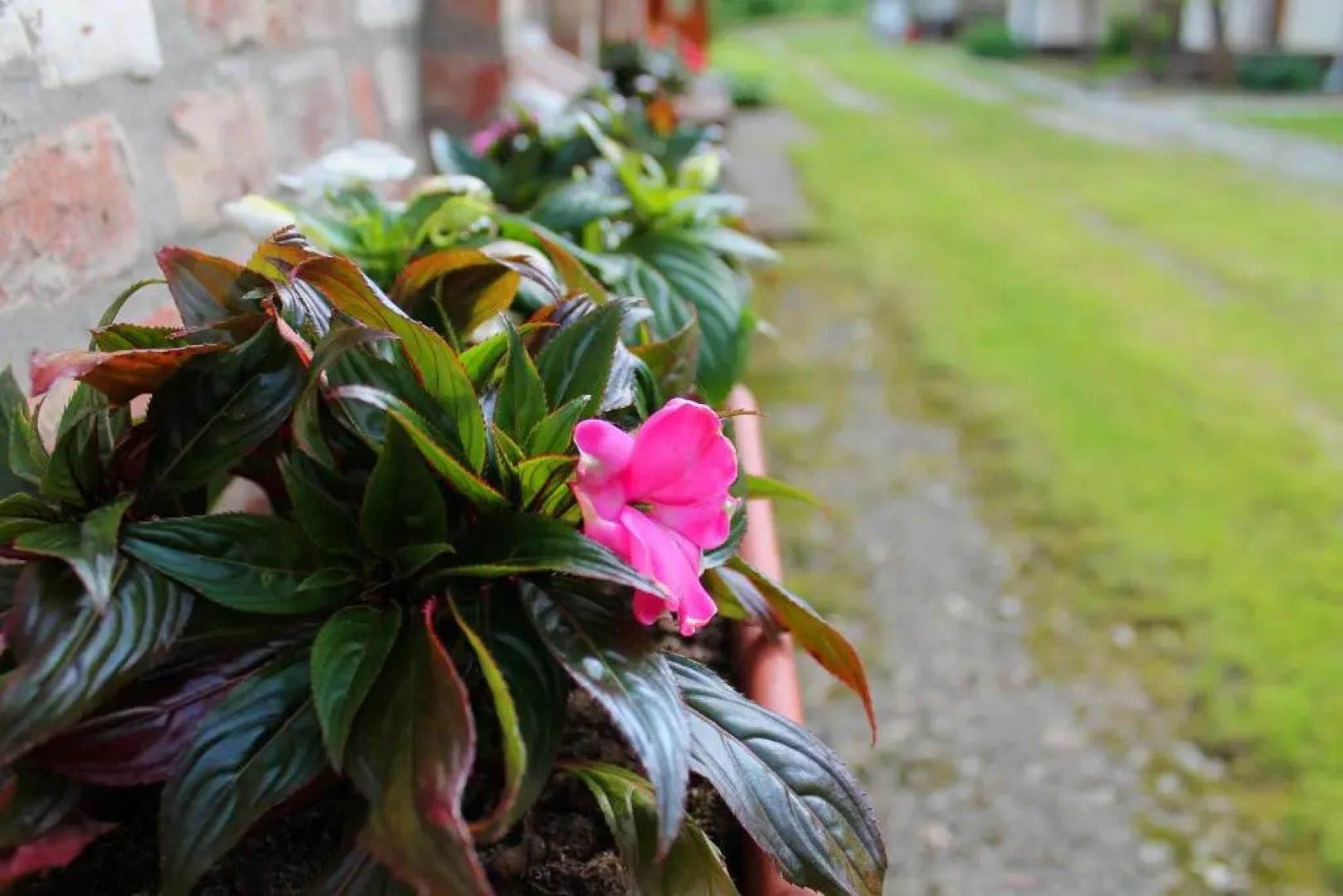 Cserépmadár szállás és Csinyálóház