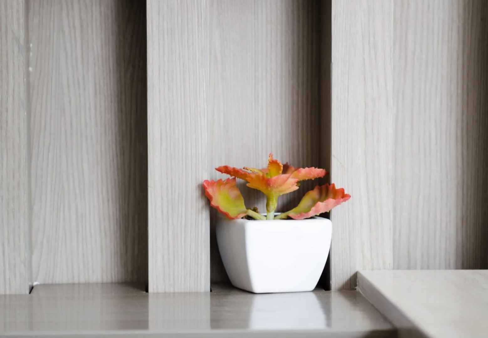 Mirage Express Patong Phuket Hotel