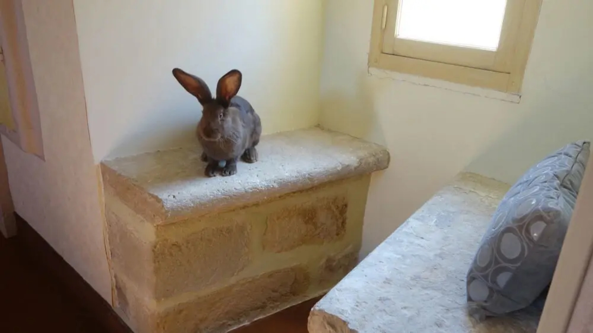 Le Donjon du Château