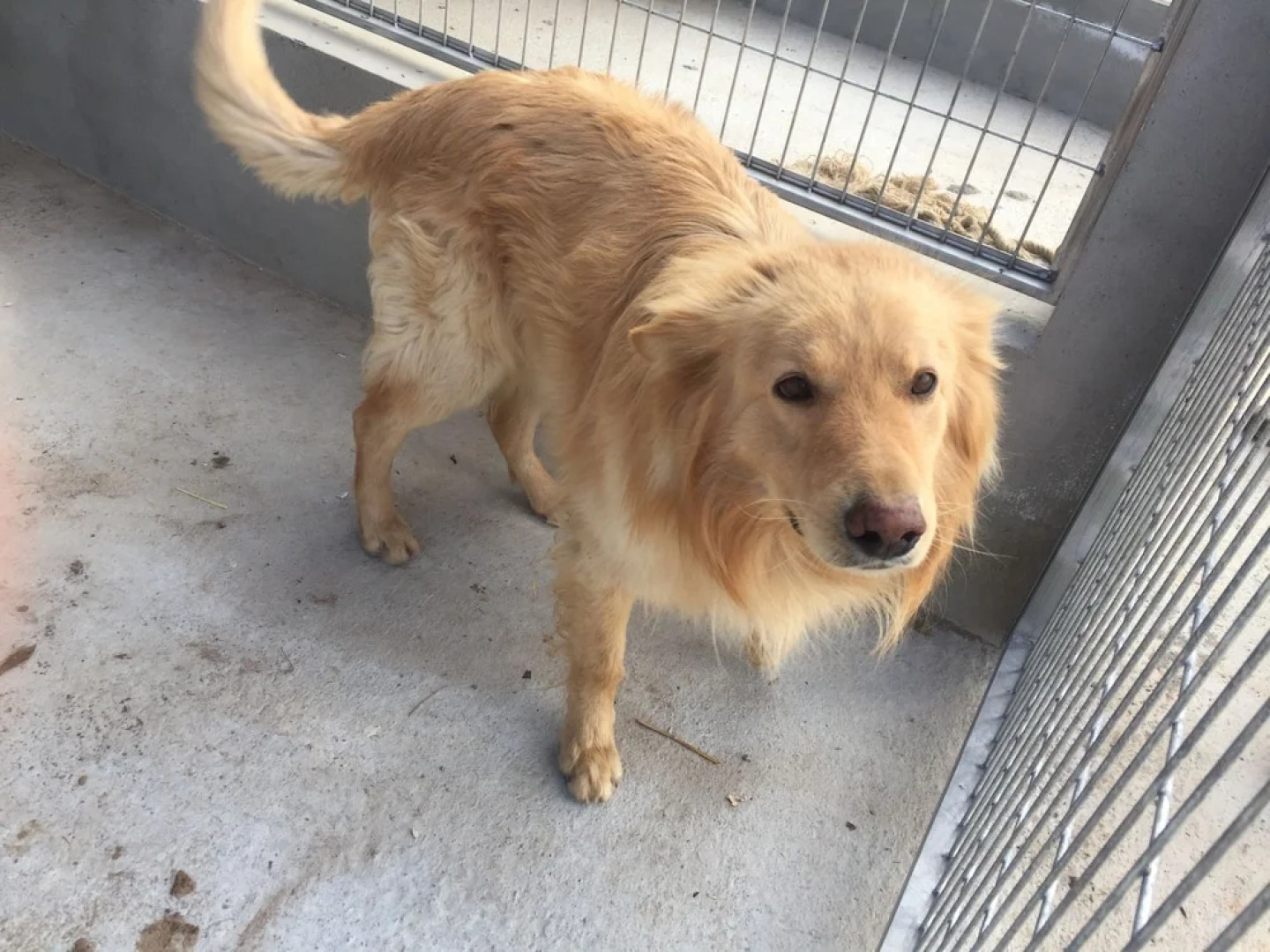 Reul Alto Cortijos Rurales