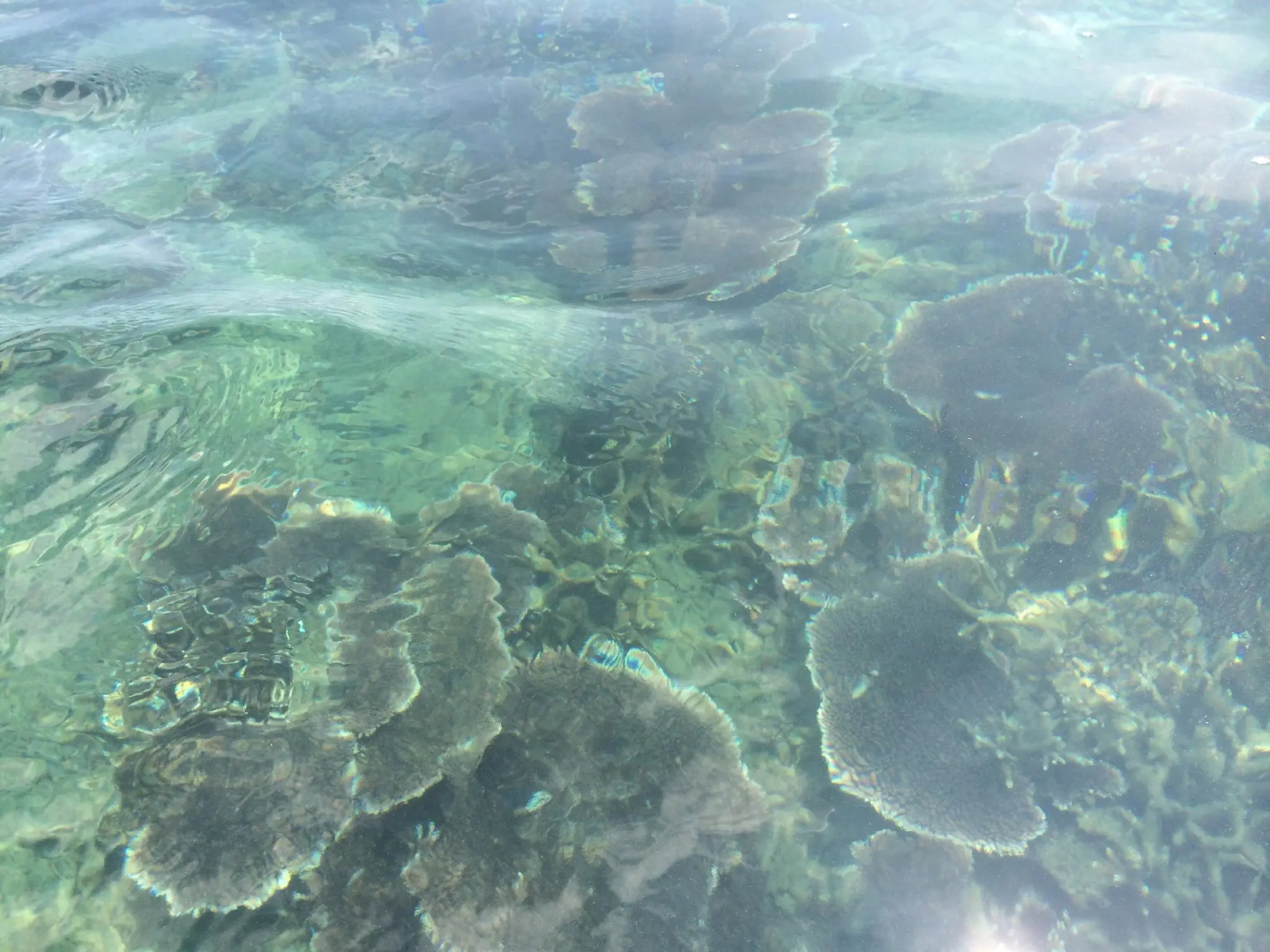 Damai Tioman Resort