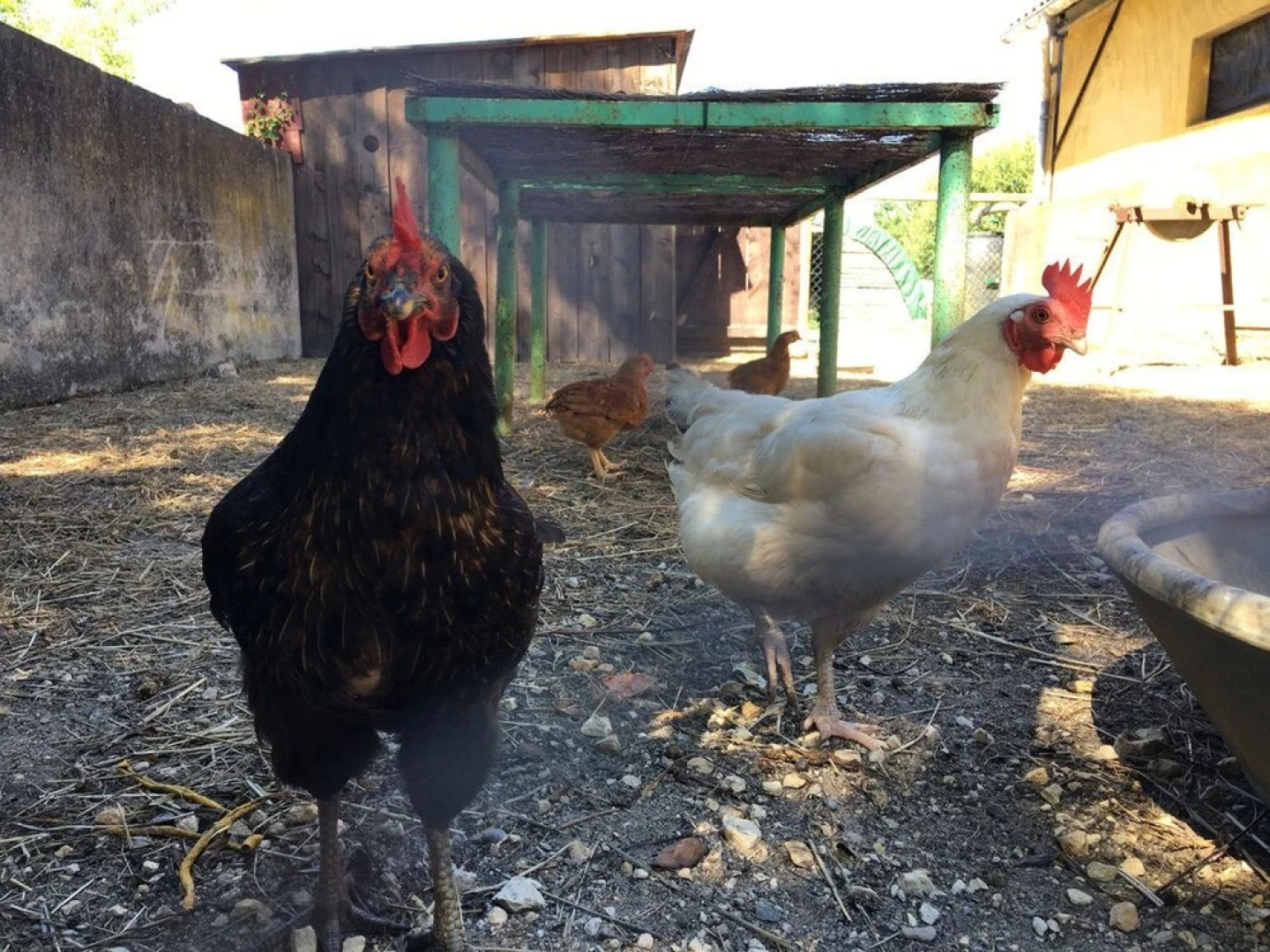 Camping La Ferme de Perdigat