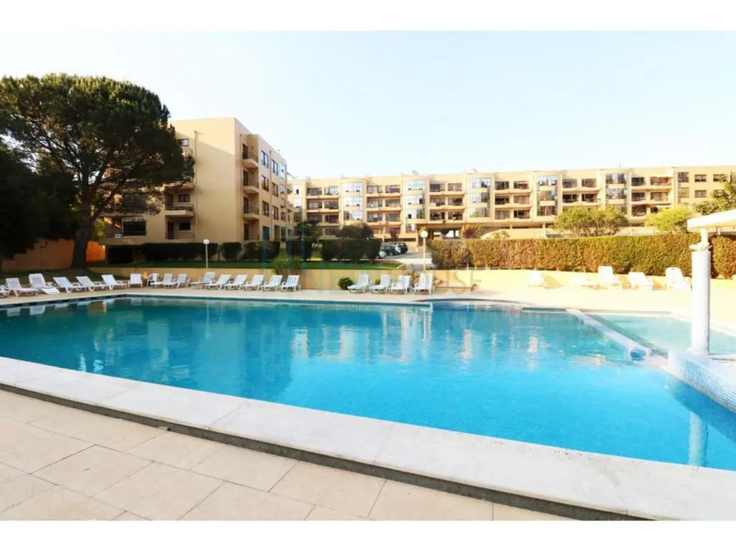 Apartamento Francelos Condominio