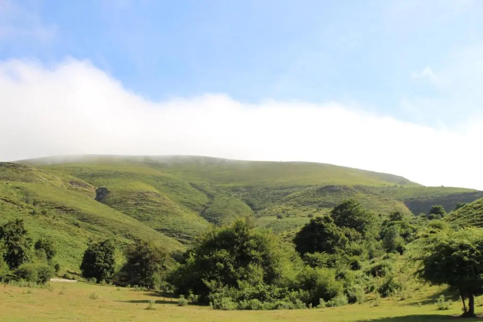 Apartamentos Zabalarena Artzaia