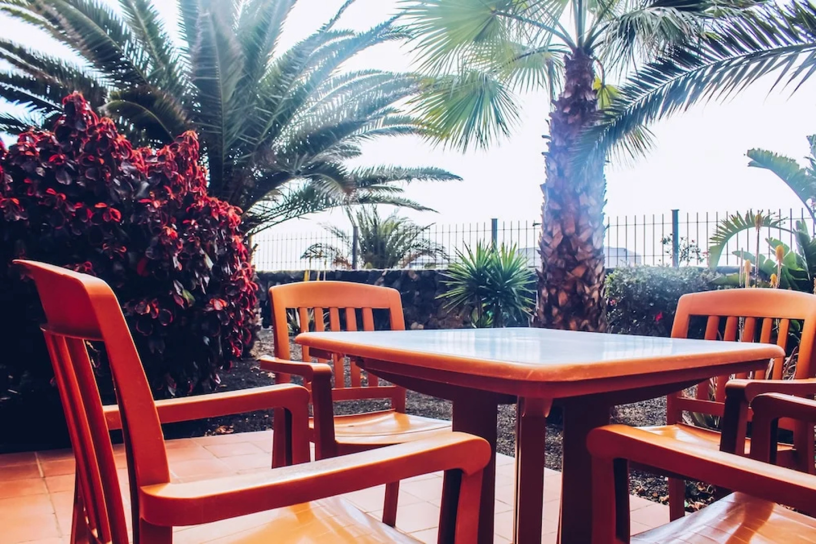 Oasis Fuerteventura Beach