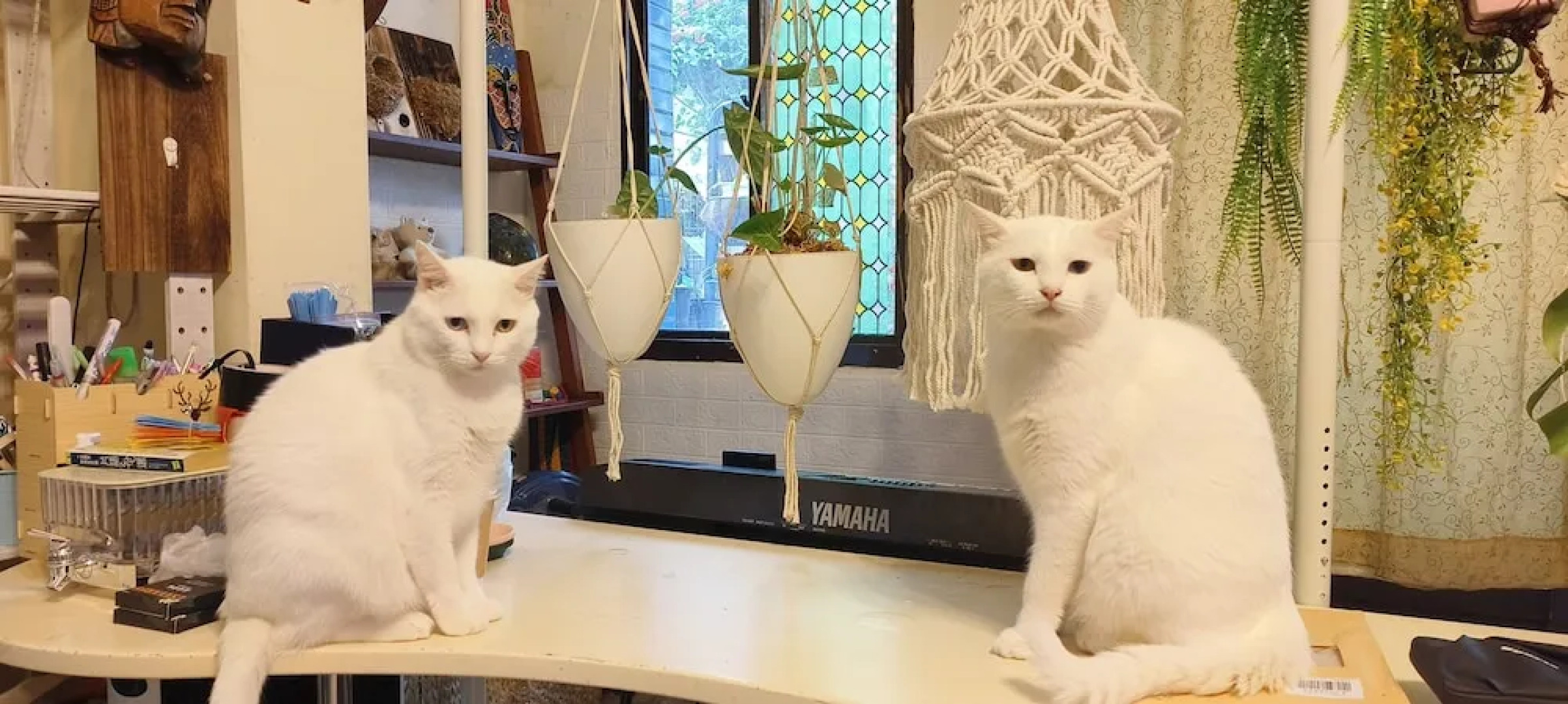 Nasun bed and breakfast