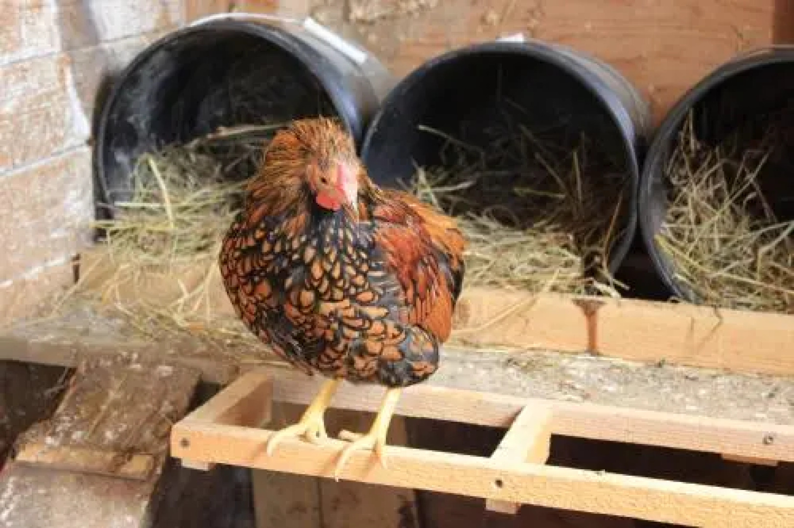 Maison Du Vieux Chemin