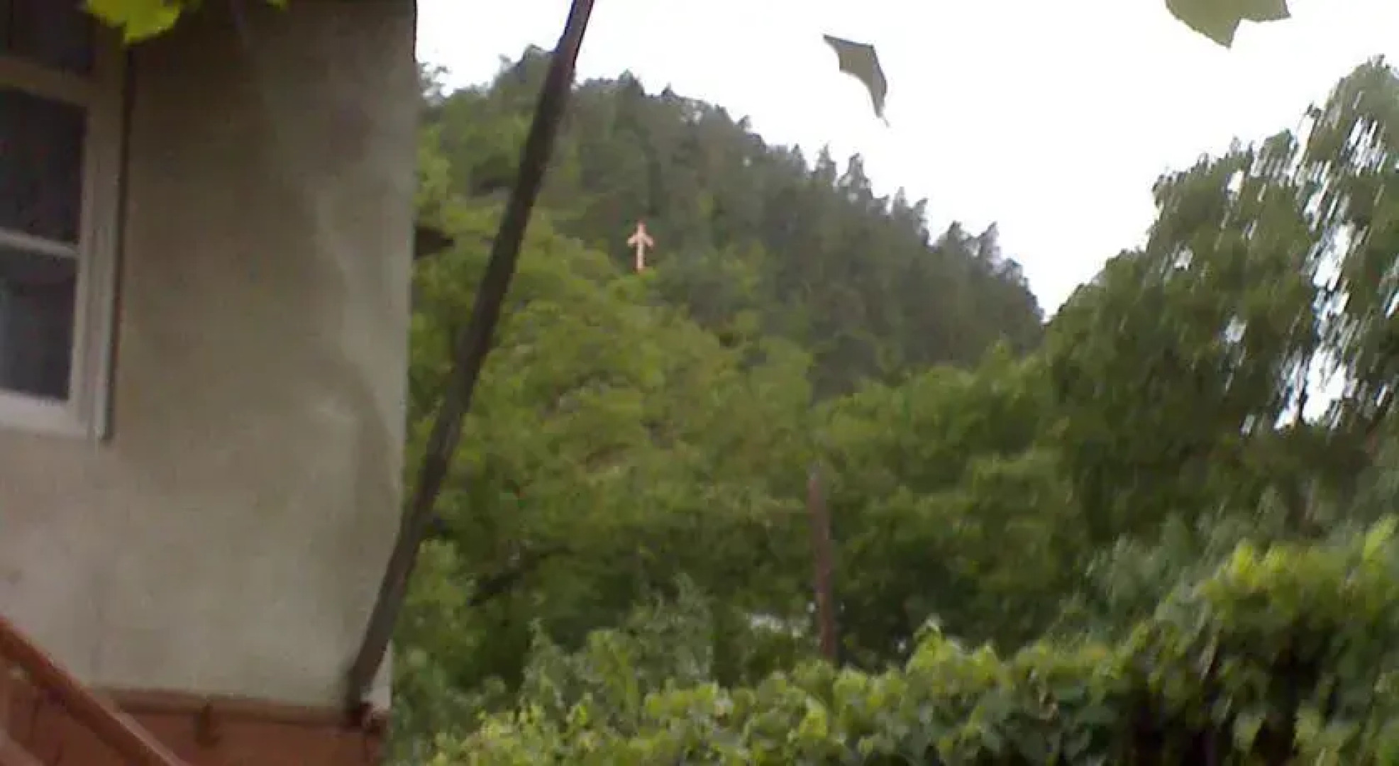 Borjomi Likani Homestay