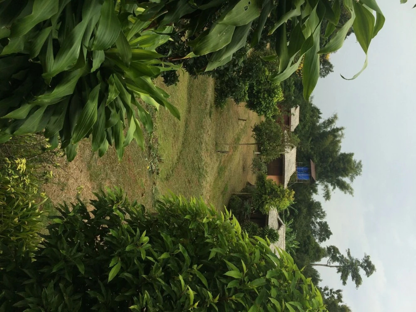 Baan Lhong Doi Resort