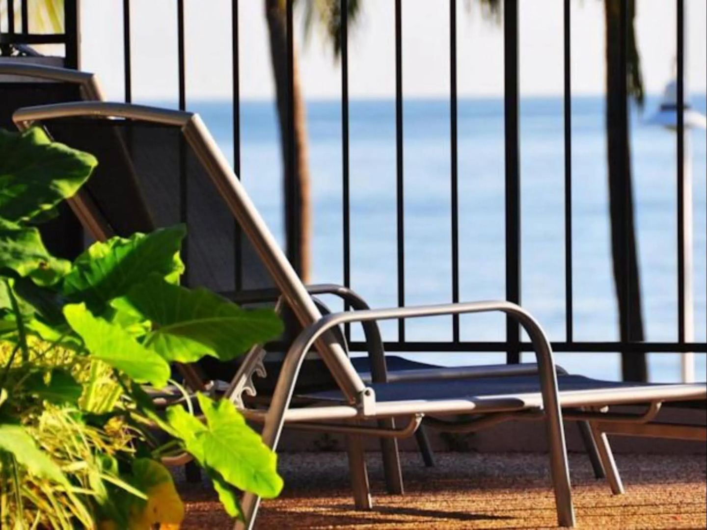 Waters Edge The Strand