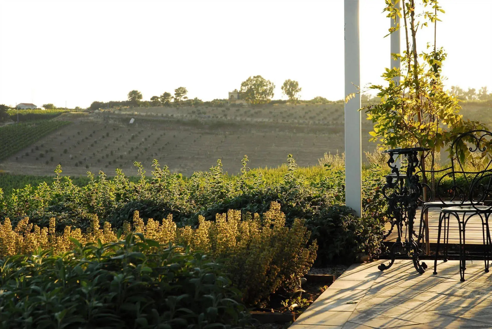 La Foresteria Planeta Estate