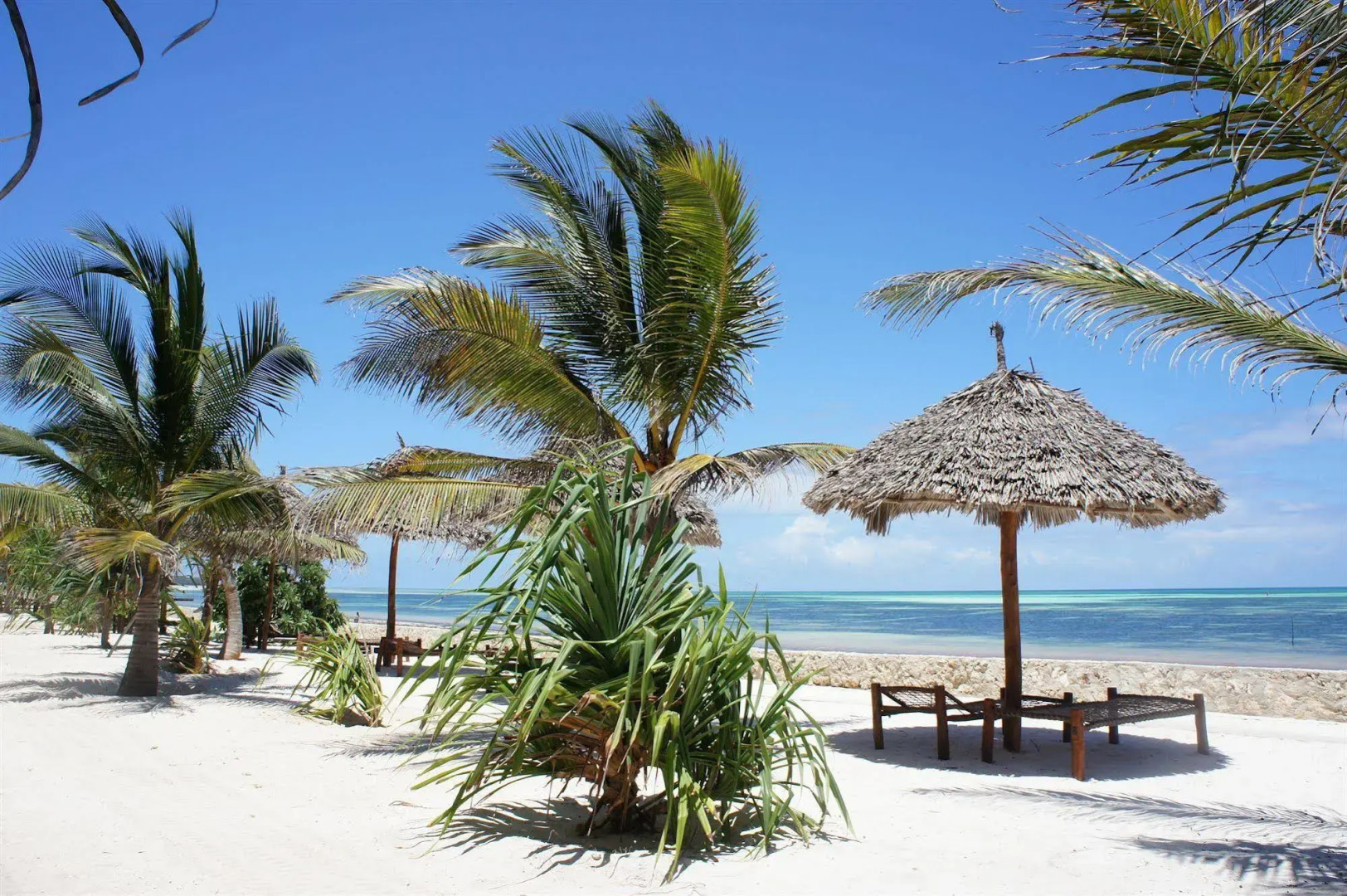 Jaz Adonia Beach Resort