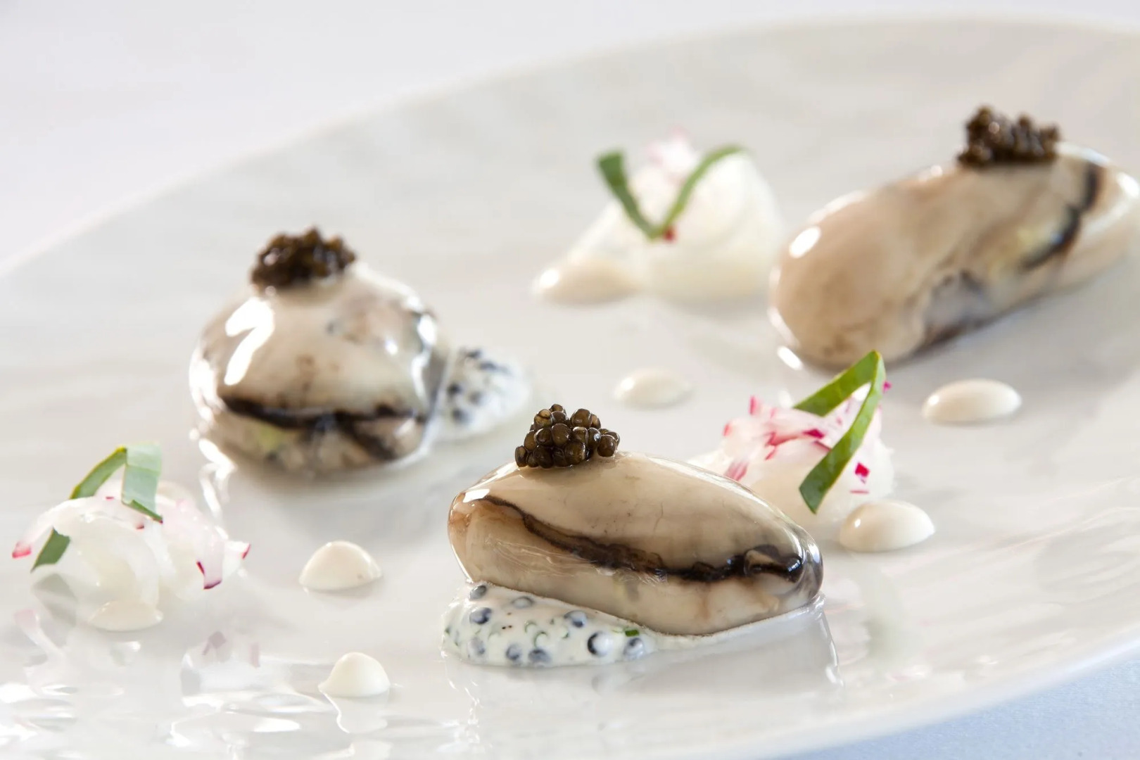 Grand Hôtel Thalasso et Spa