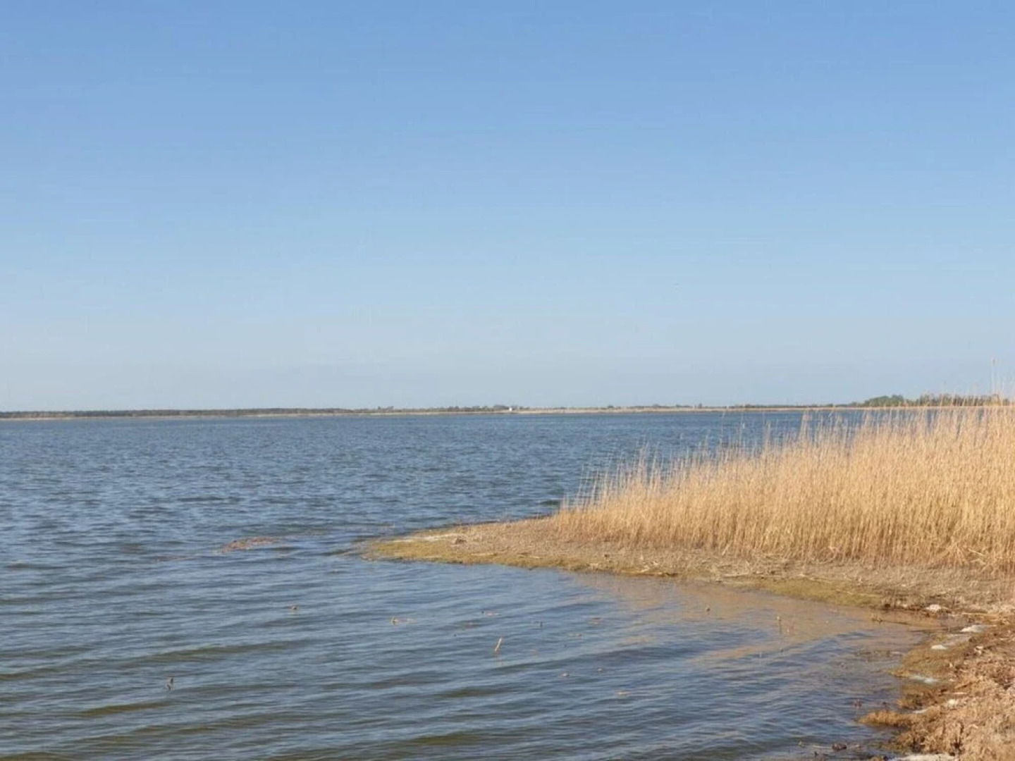 Seeschwalbe Modern Retreat