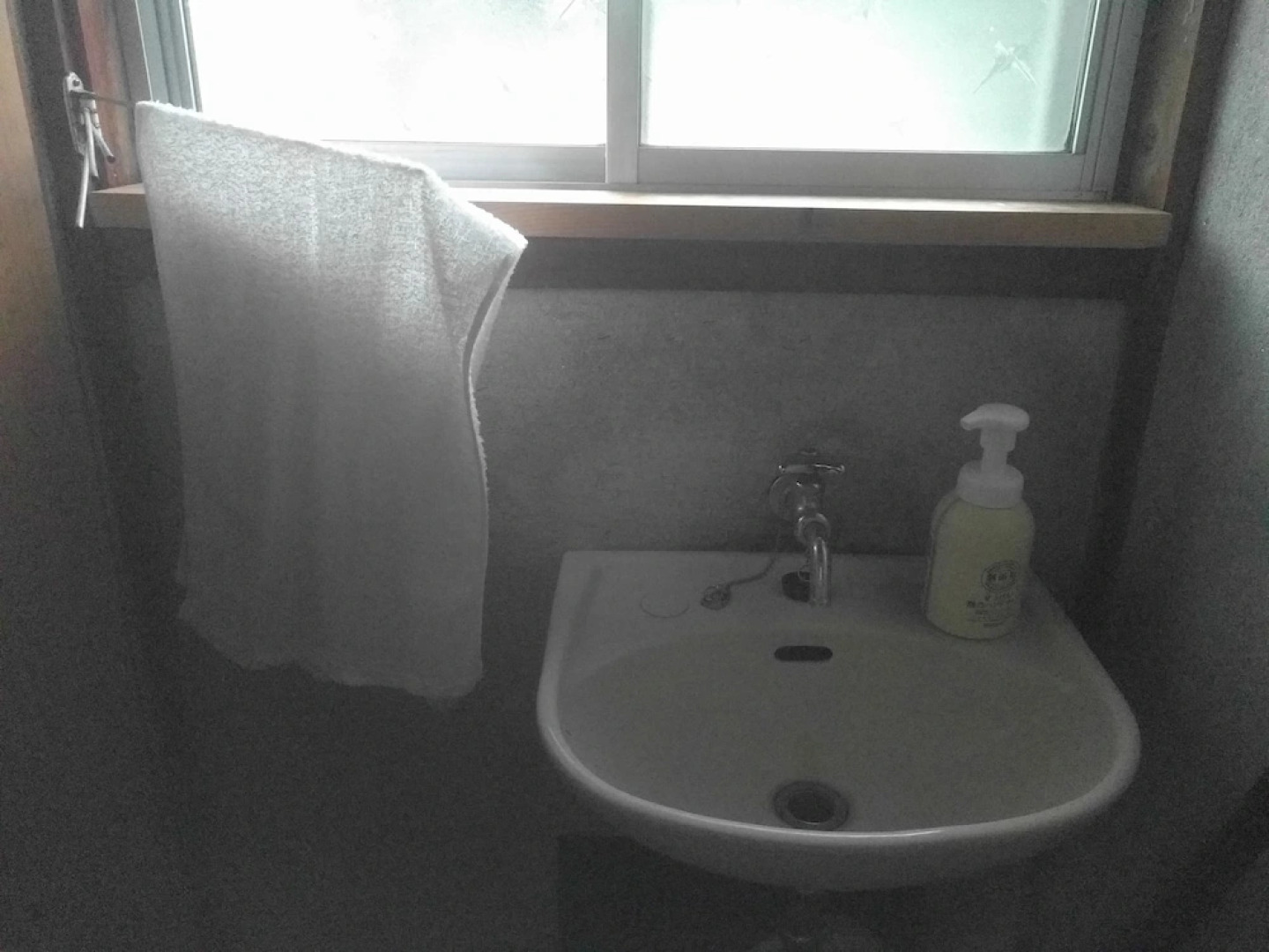 Tomo's hut in Japanese old style