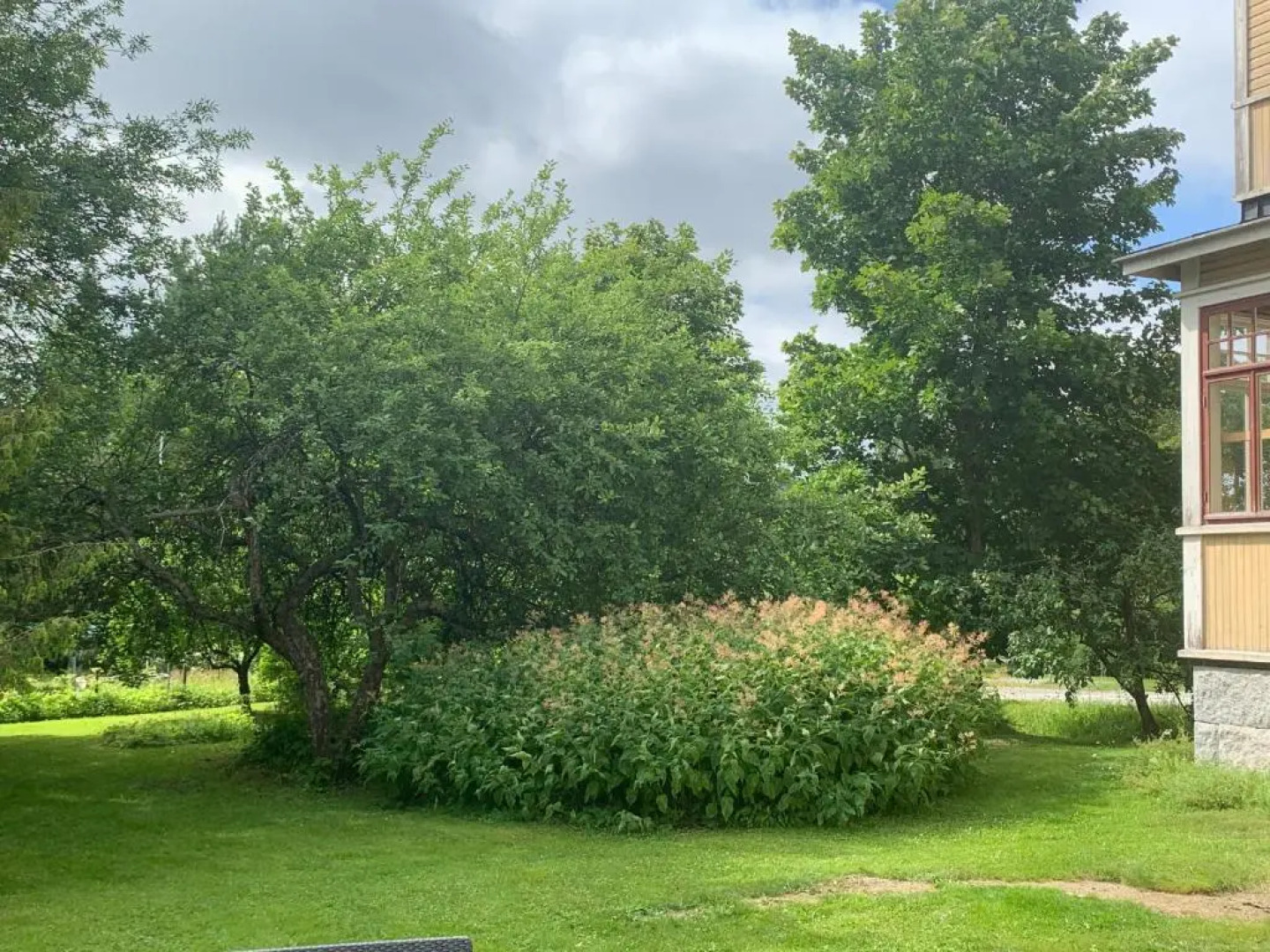 Wanhan Apteekin Majatalo