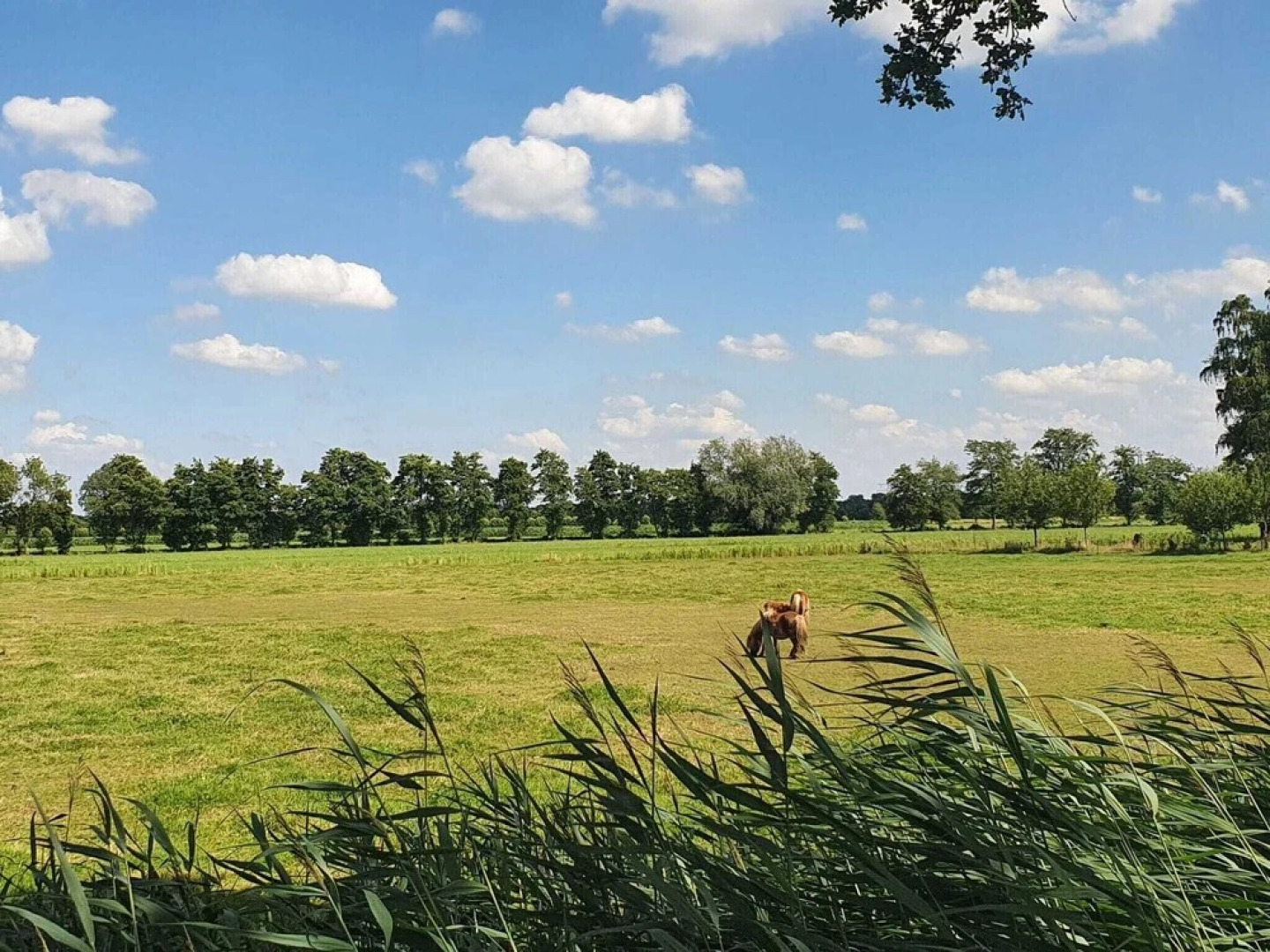 Holiday Home in Overberg With Private Garden and Terrace